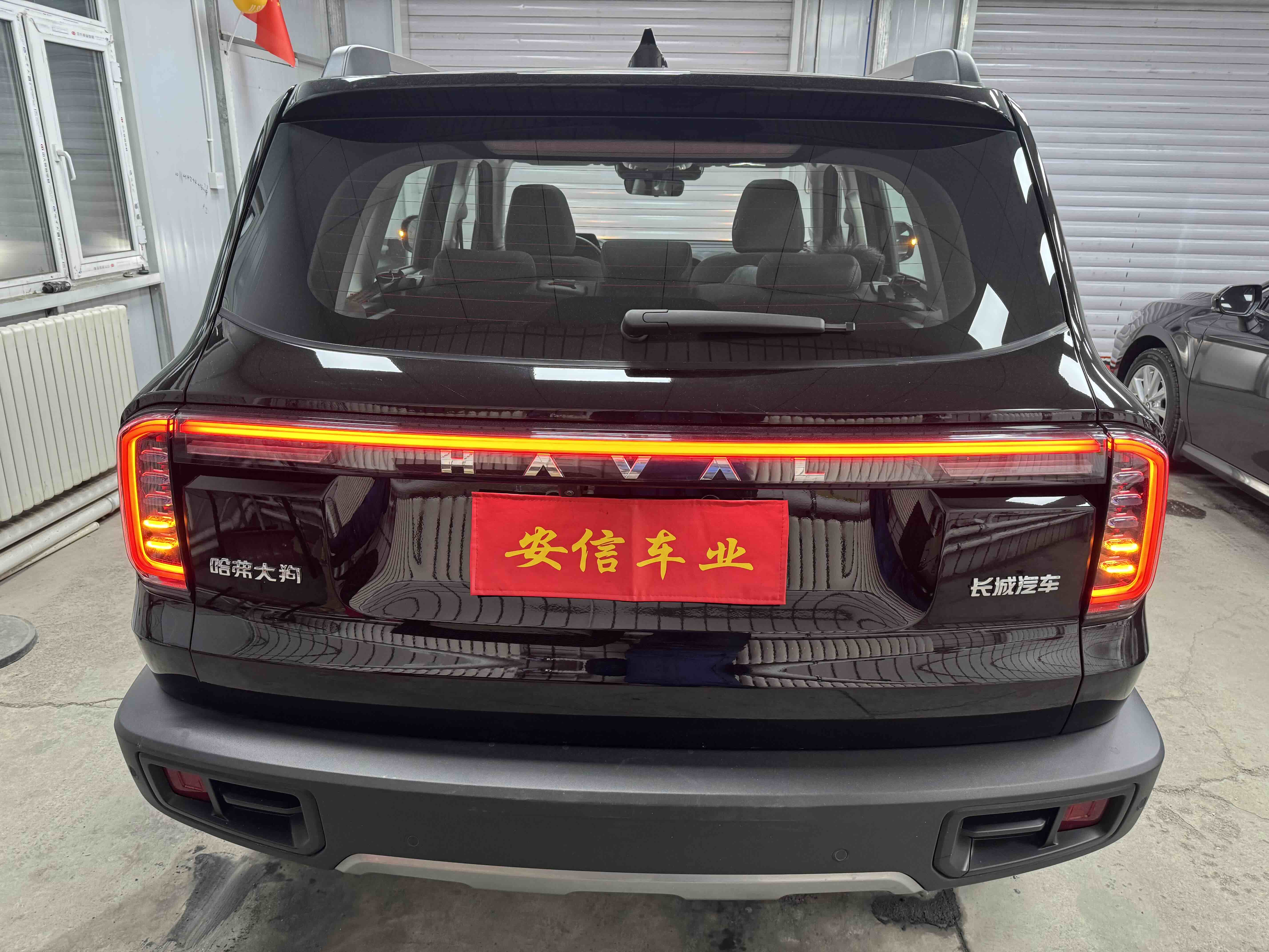 Haval X Dog / Dargo 2023 car image #6