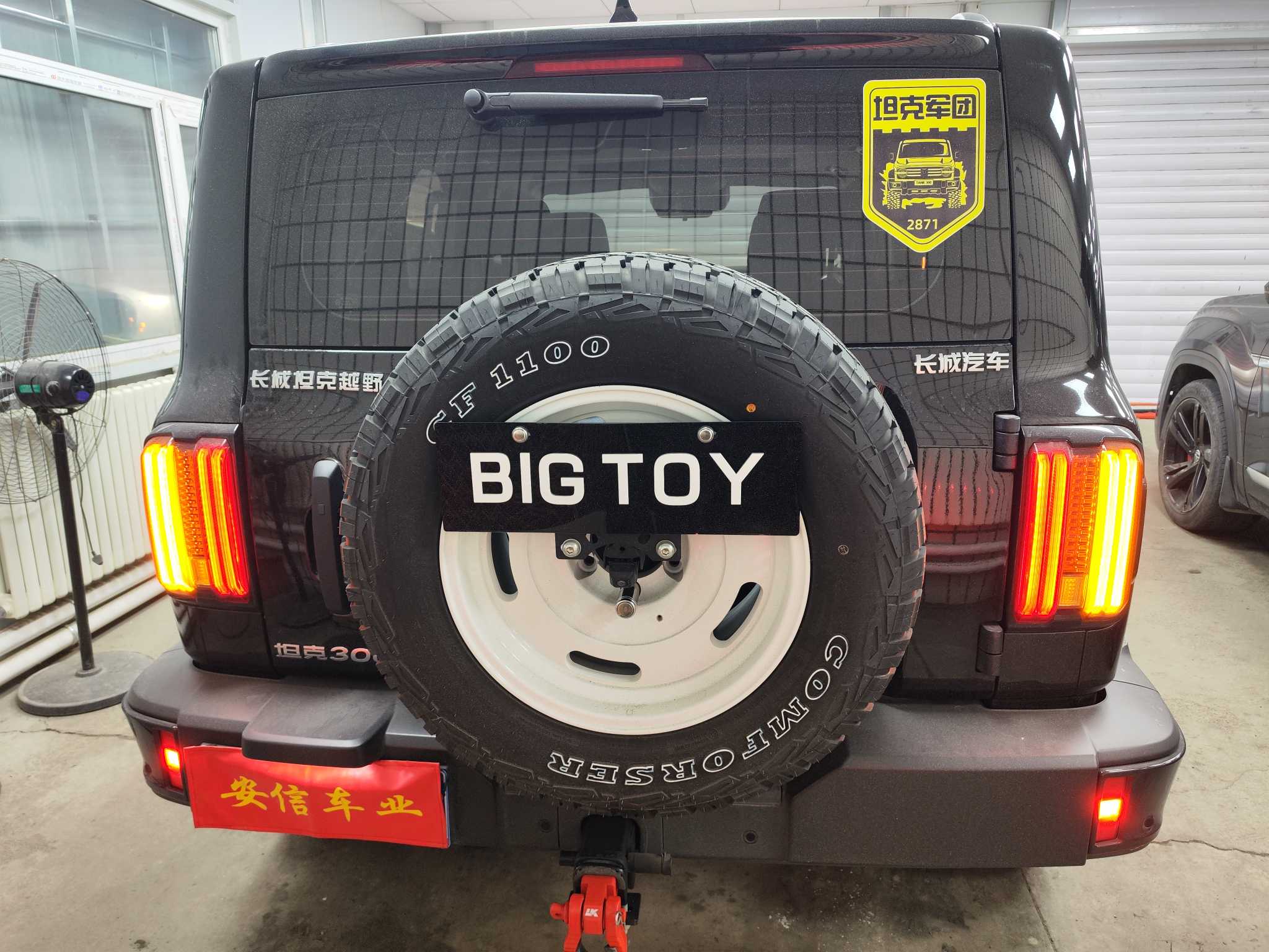 Tank 300 2024 car image #6