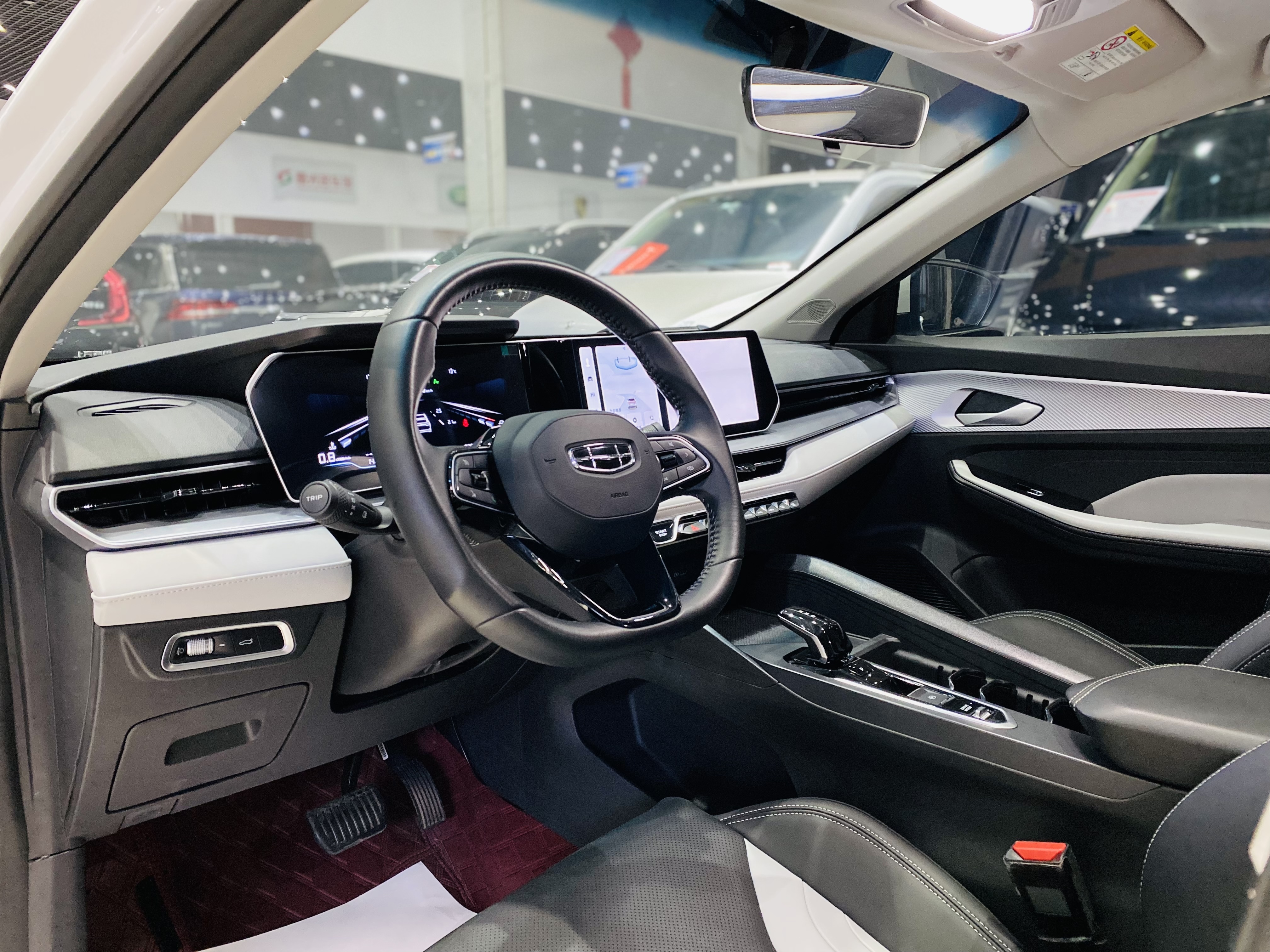 GEELY Binray 2024 immagine di auto #6