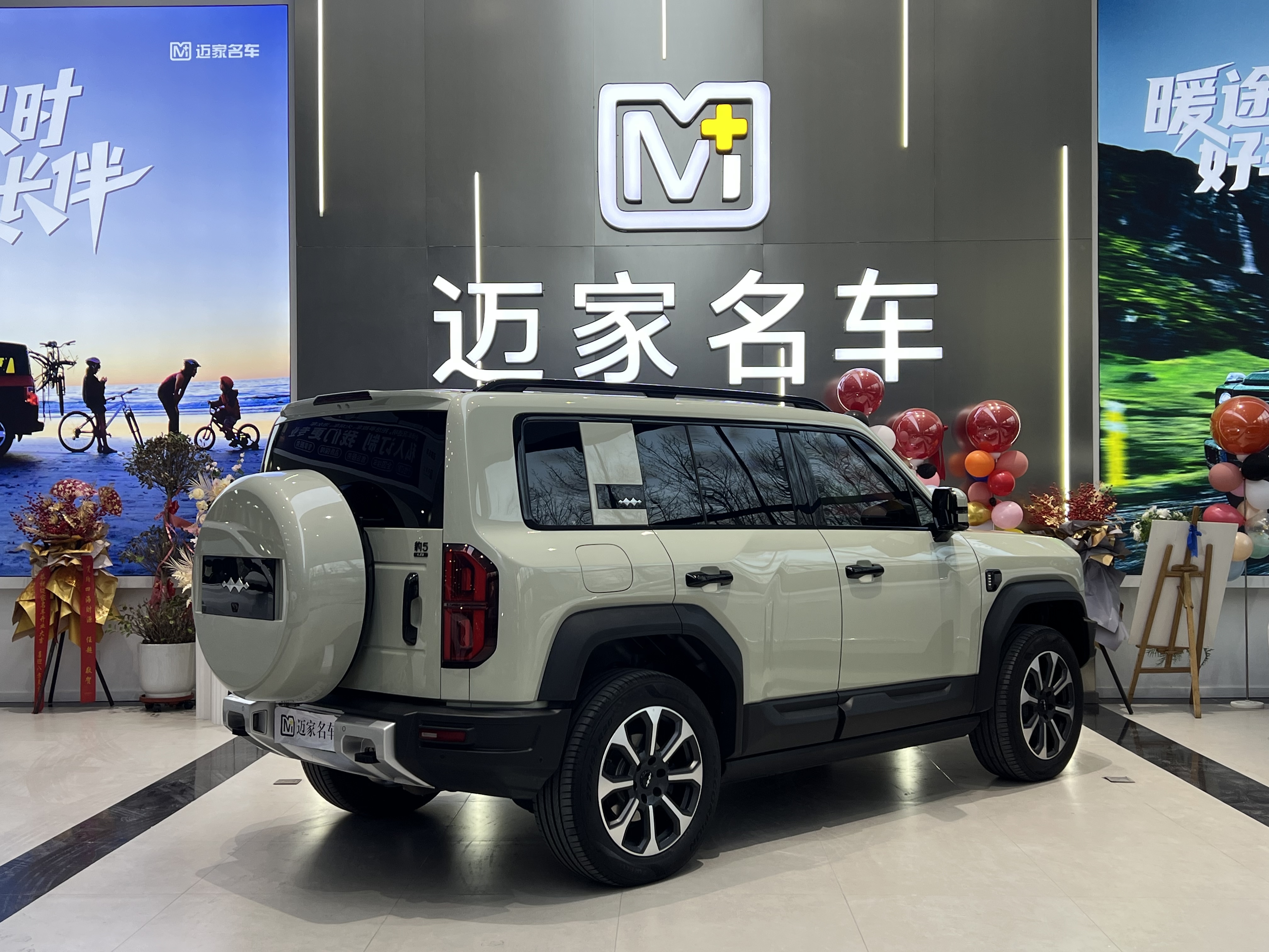 FangChengBao Leopard 5 2025 #6 FangChengBao Leopard 5 2025 car image #6