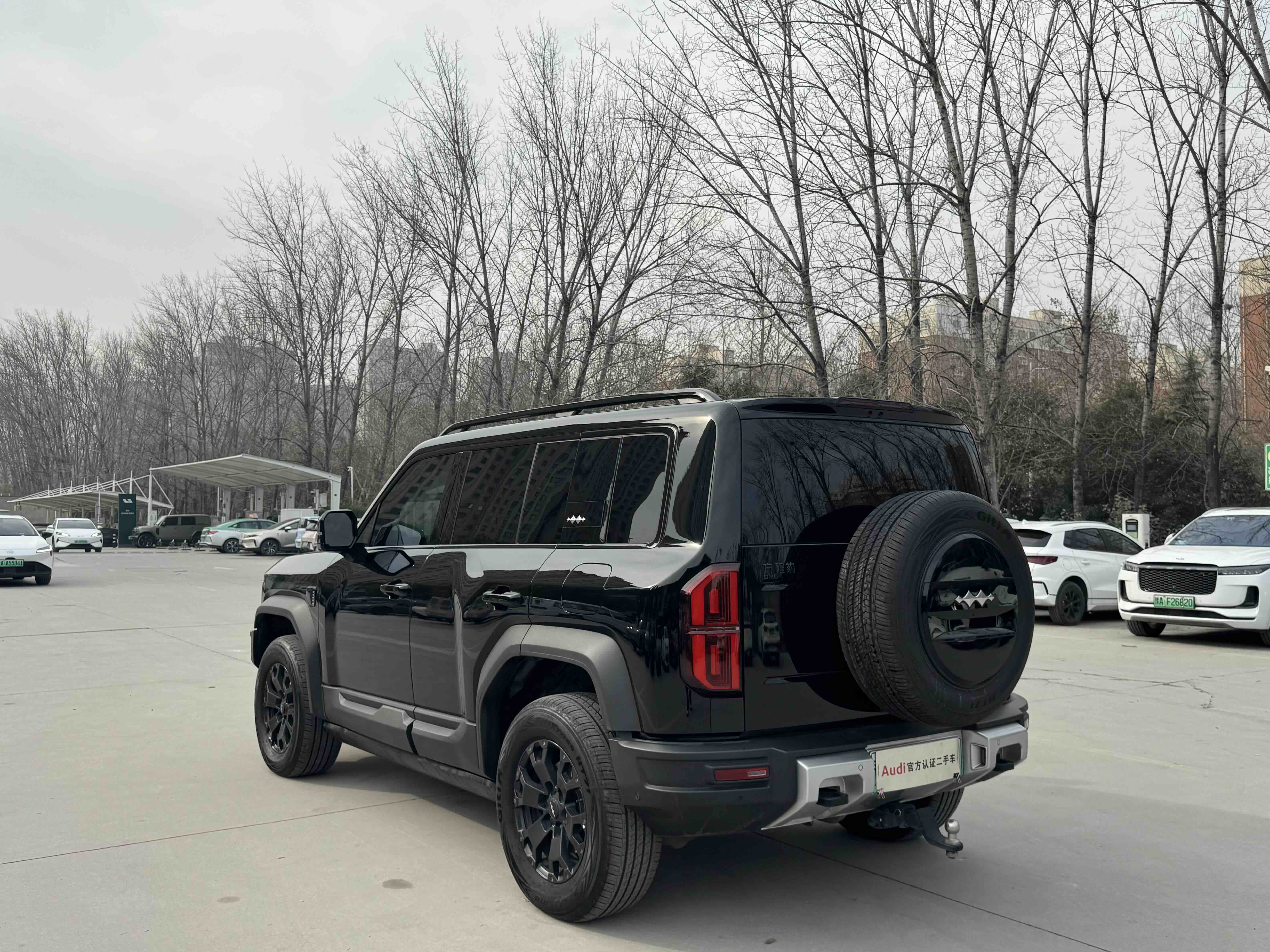 FangChengBao Leopard 5 2024 imagem de carro #6