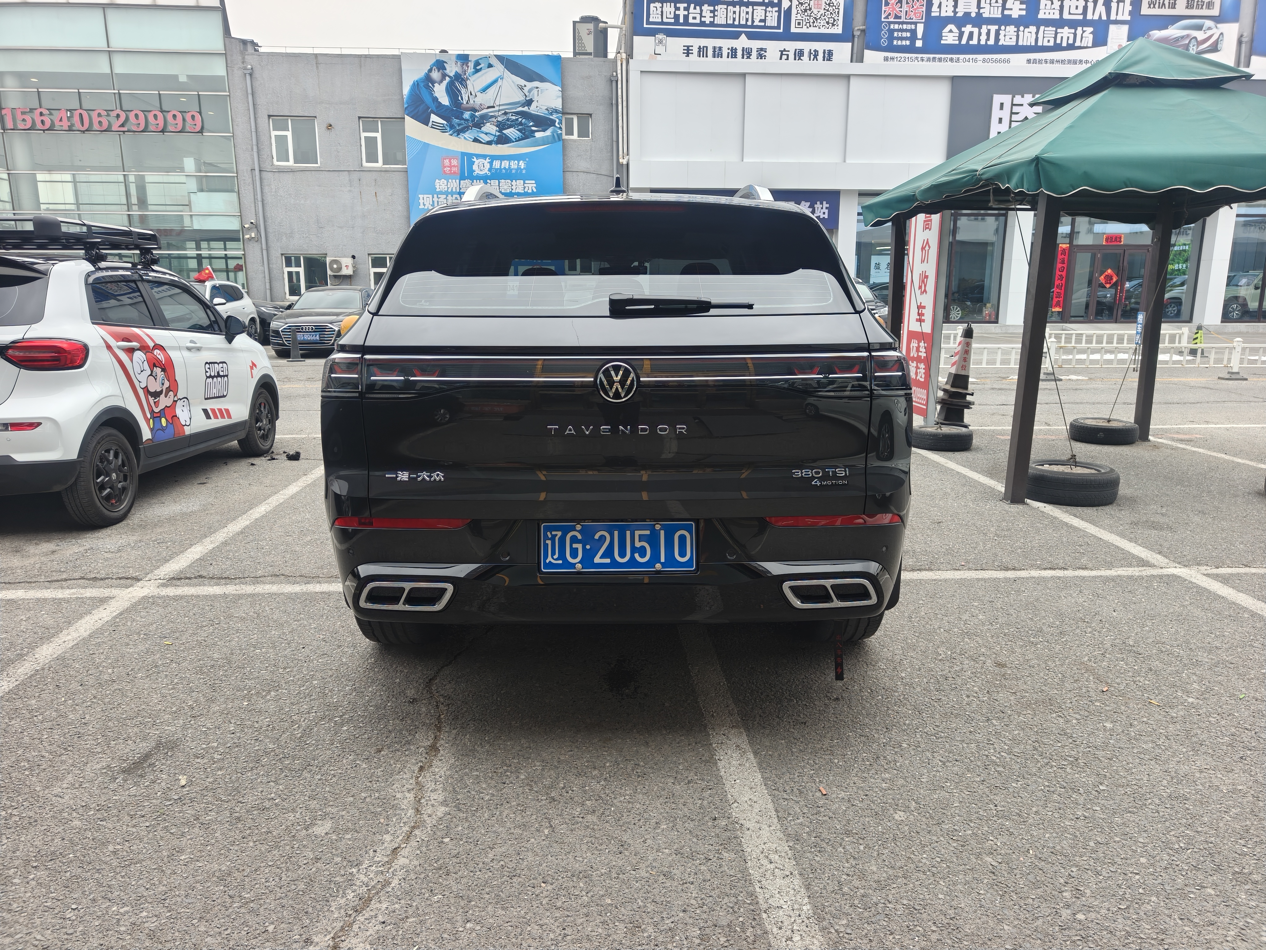 Volkswagen Tavendor 2024 immagine di auto #6