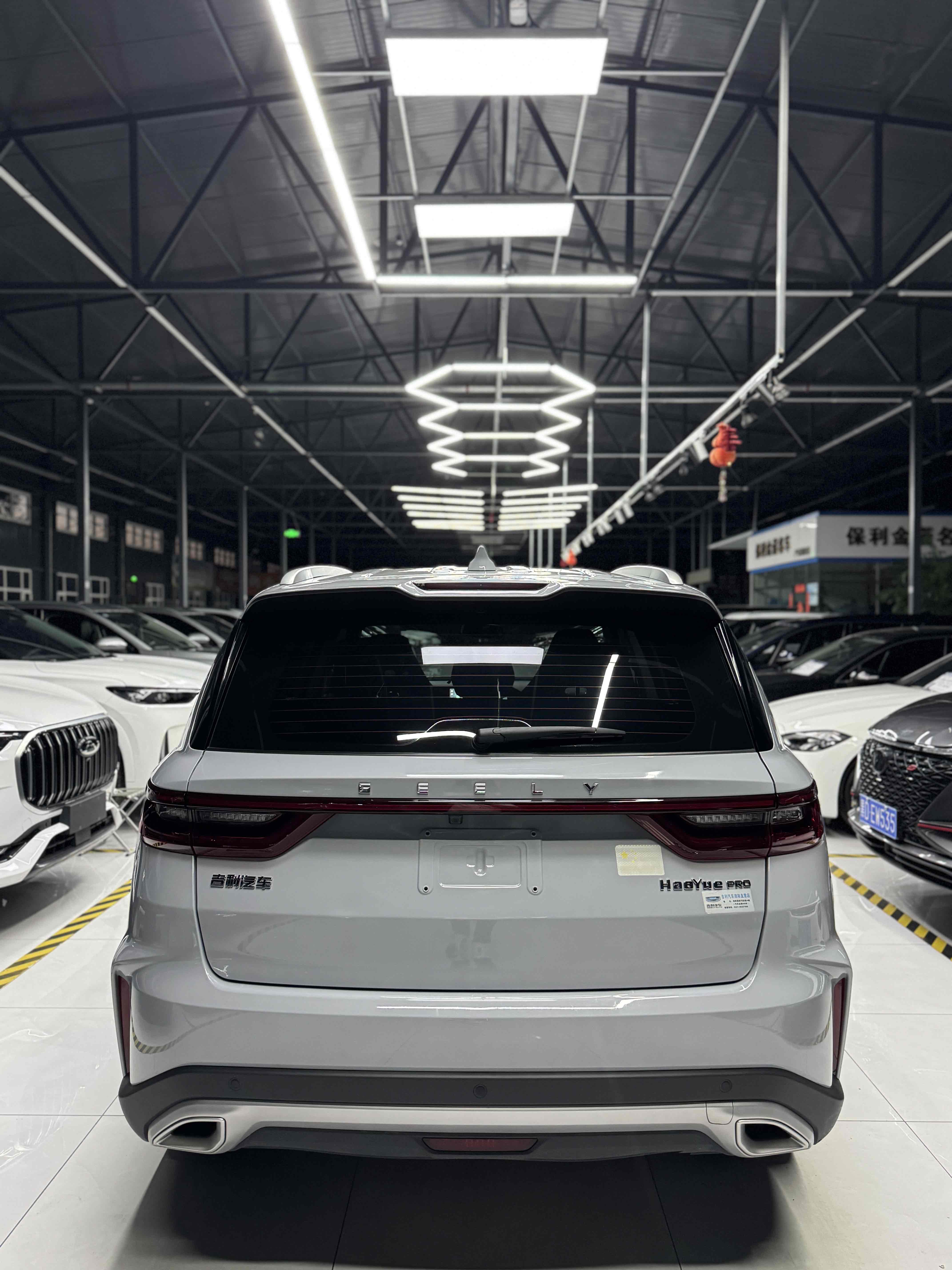 GEELY OkavangoPRO 2024 car image #6