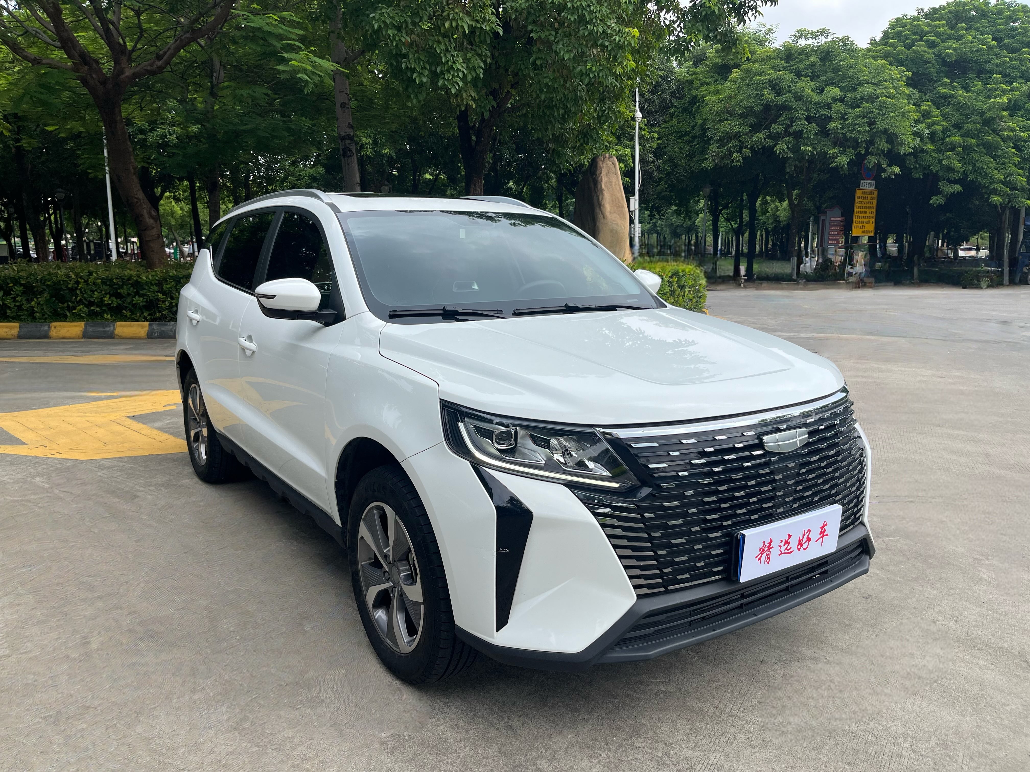 GEELY OkavangoPRO 2024 car image #6