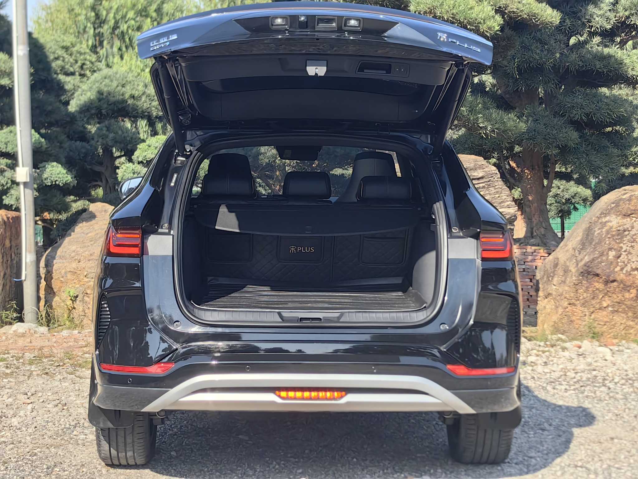 BYD Song Plus New Energy 2024 car image #6