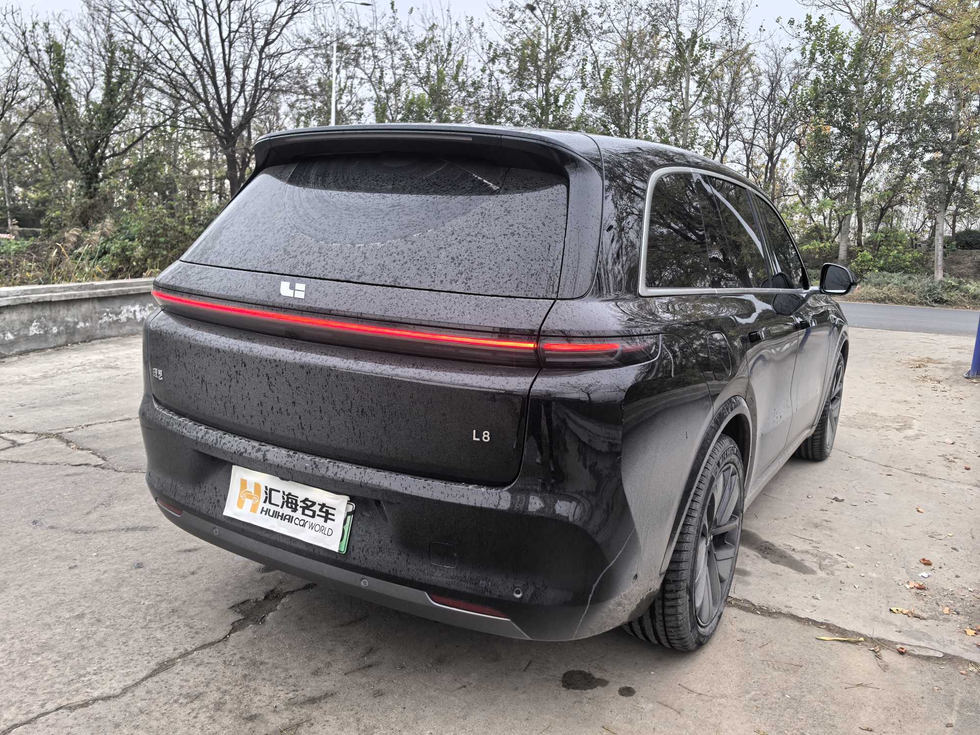 Li L8 2024 imagem de carro #6