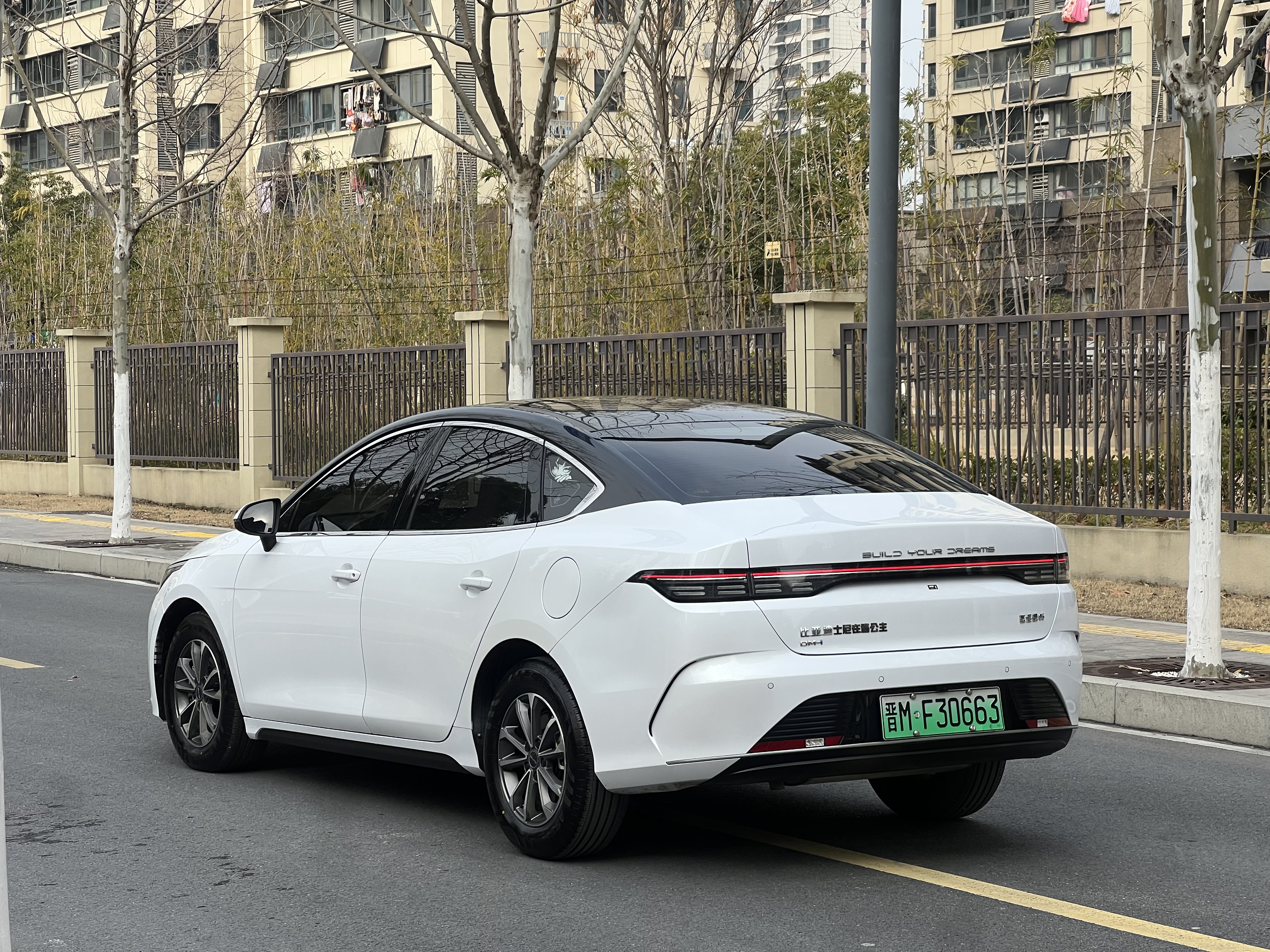 BYD Destroyer 05 2024 car image #6