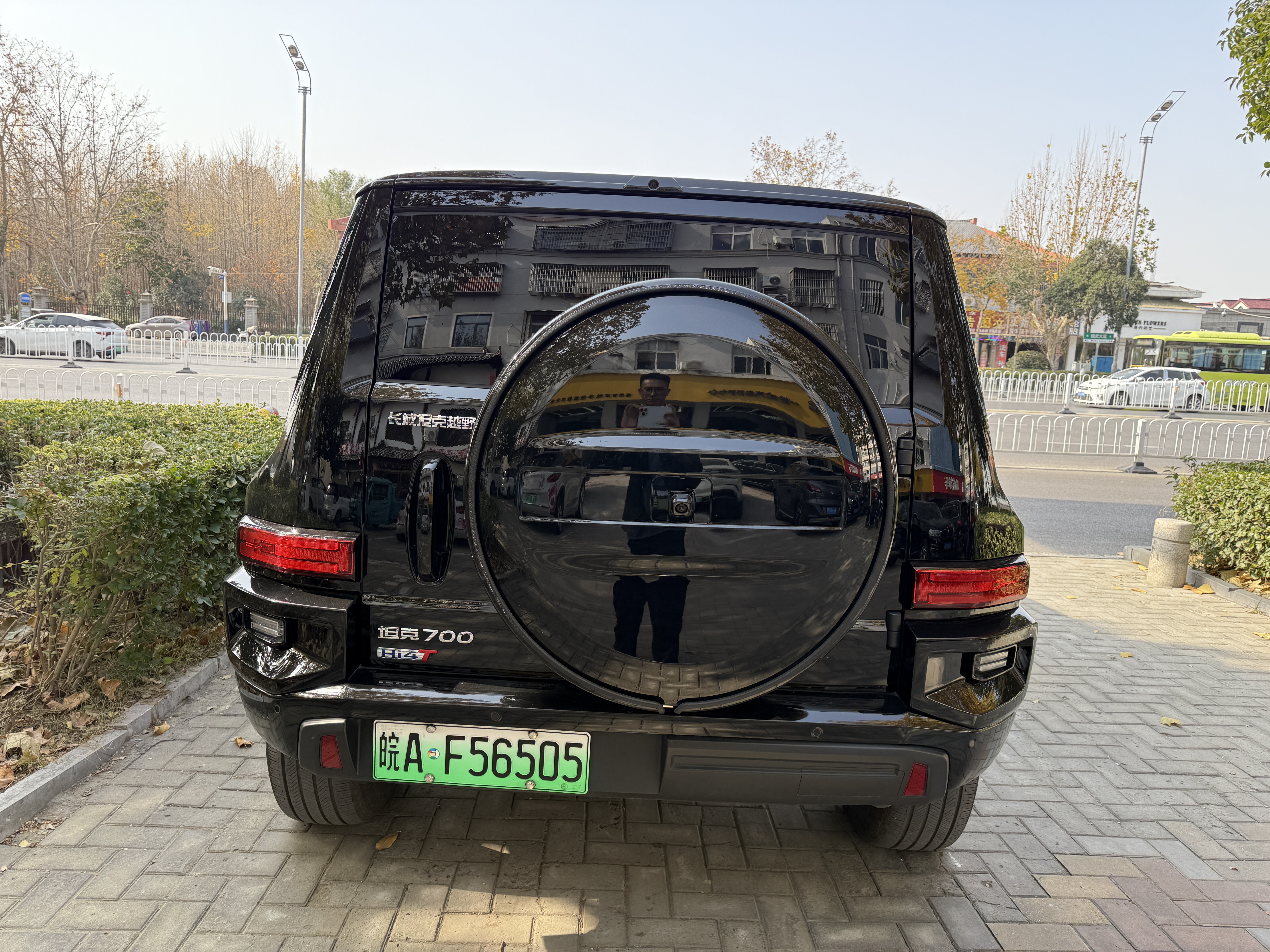 Tank 700 New Energy 2024 immagine di auto #6