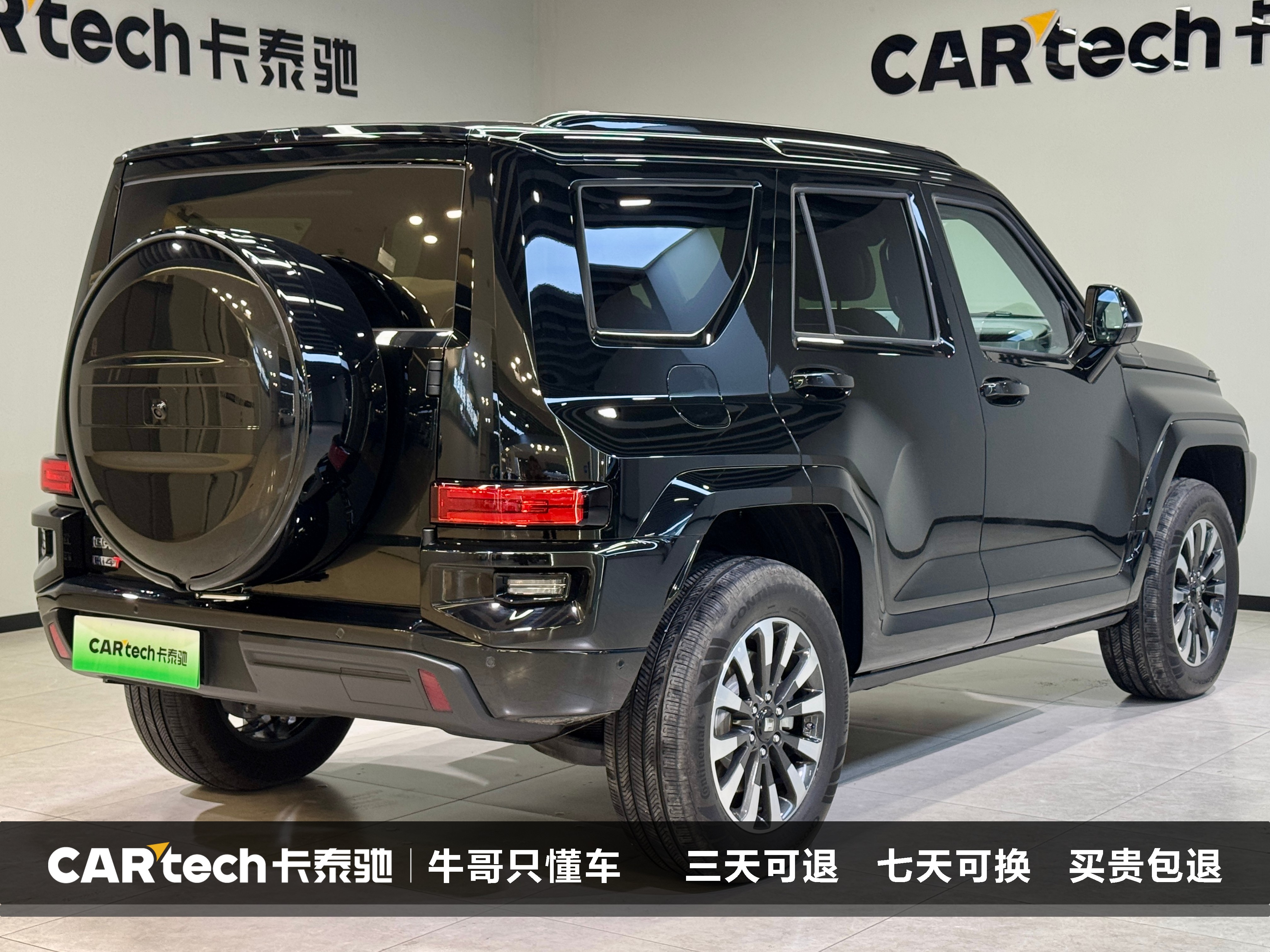 Tank 700 New Energy 2024 immagine di auto #6