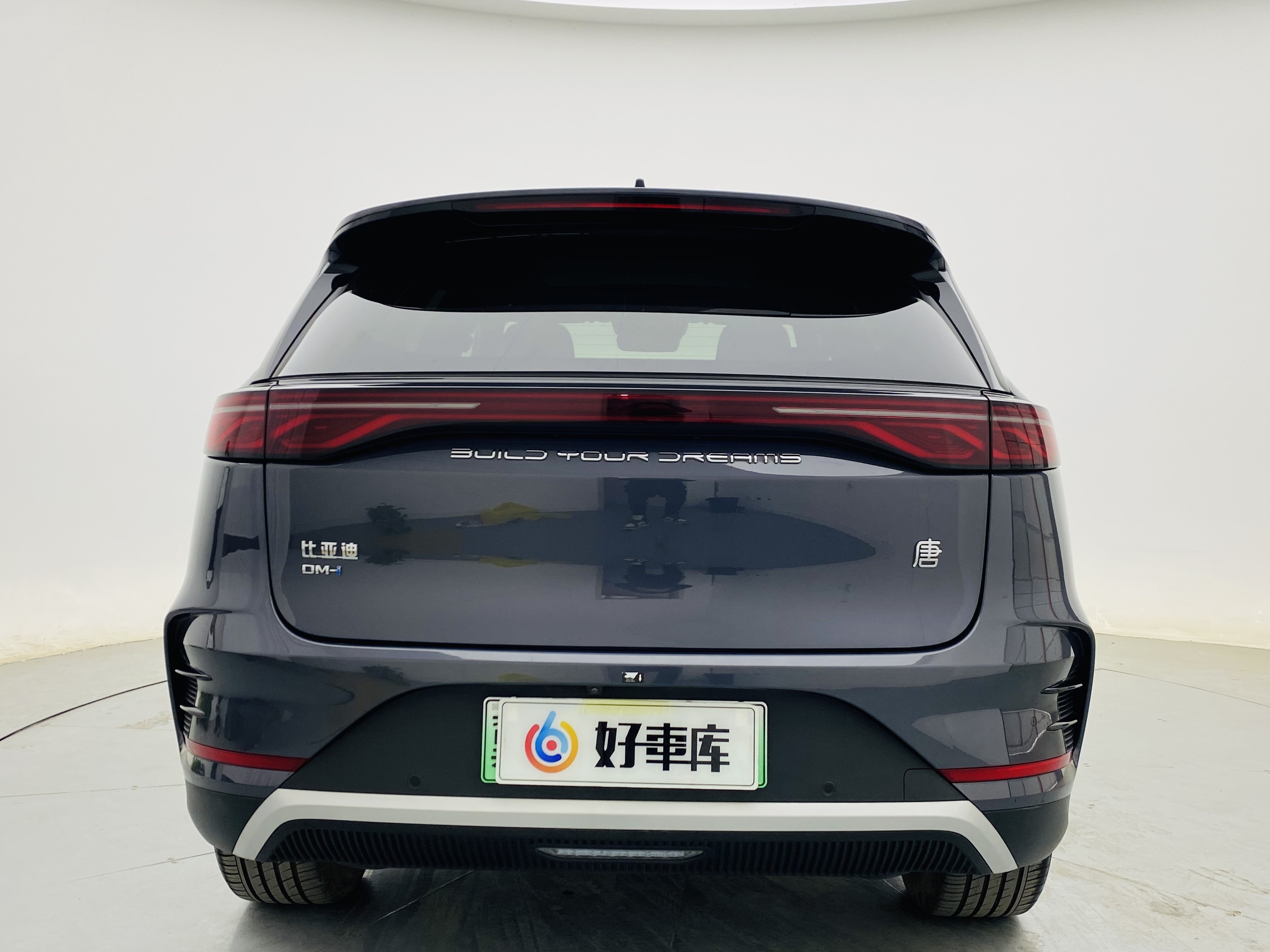 BYD Tang New Energy 2024 car image #6