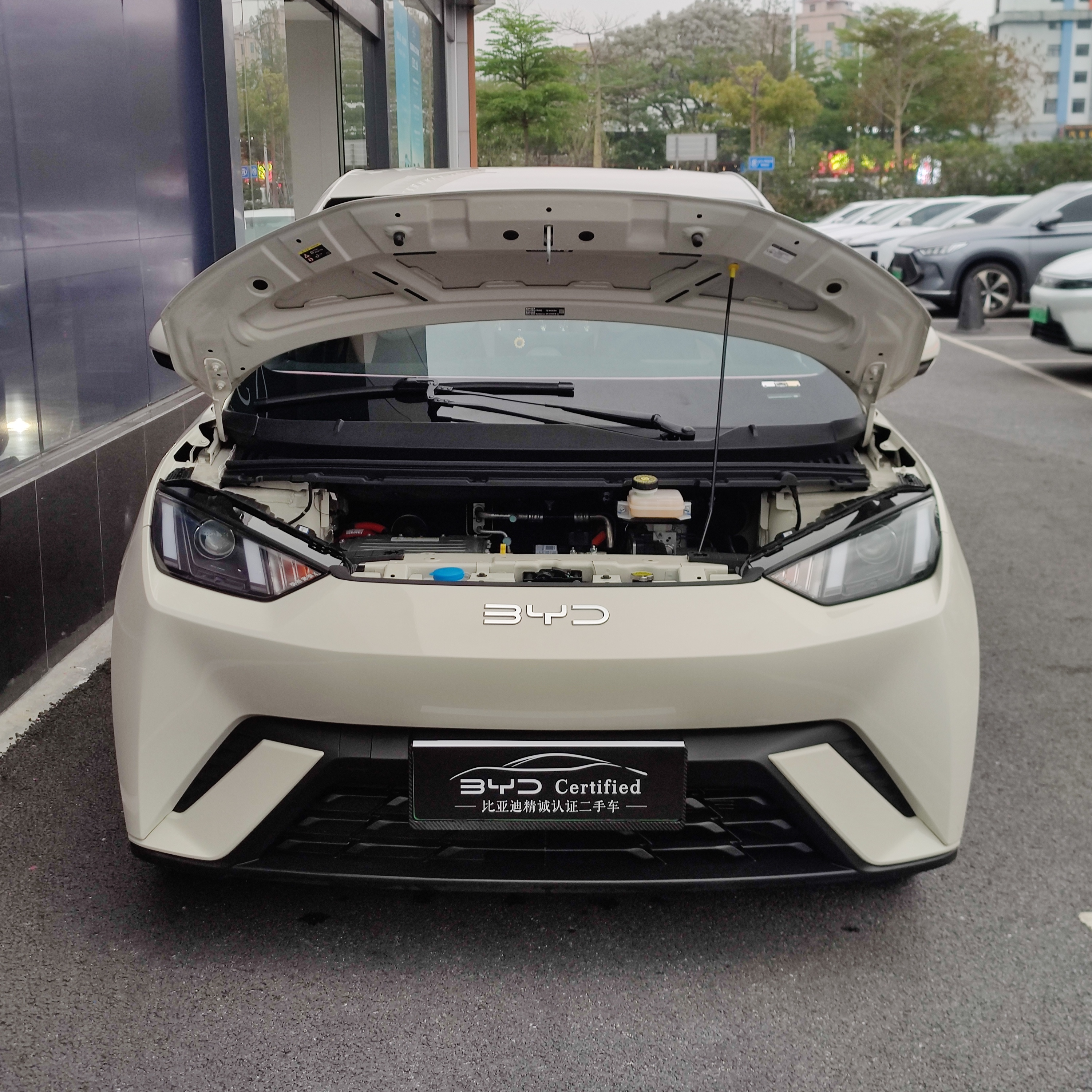 BYD Seagull 2024 car image #6