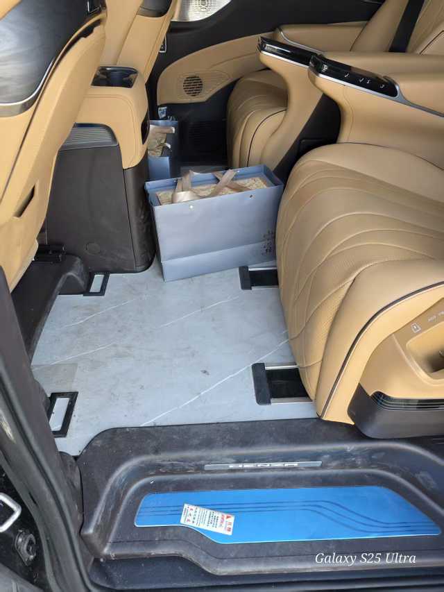 Denza D9 2025 car image #6