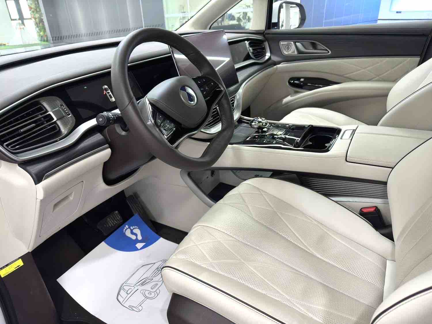 Denza D9 2024 imagen de coche #6