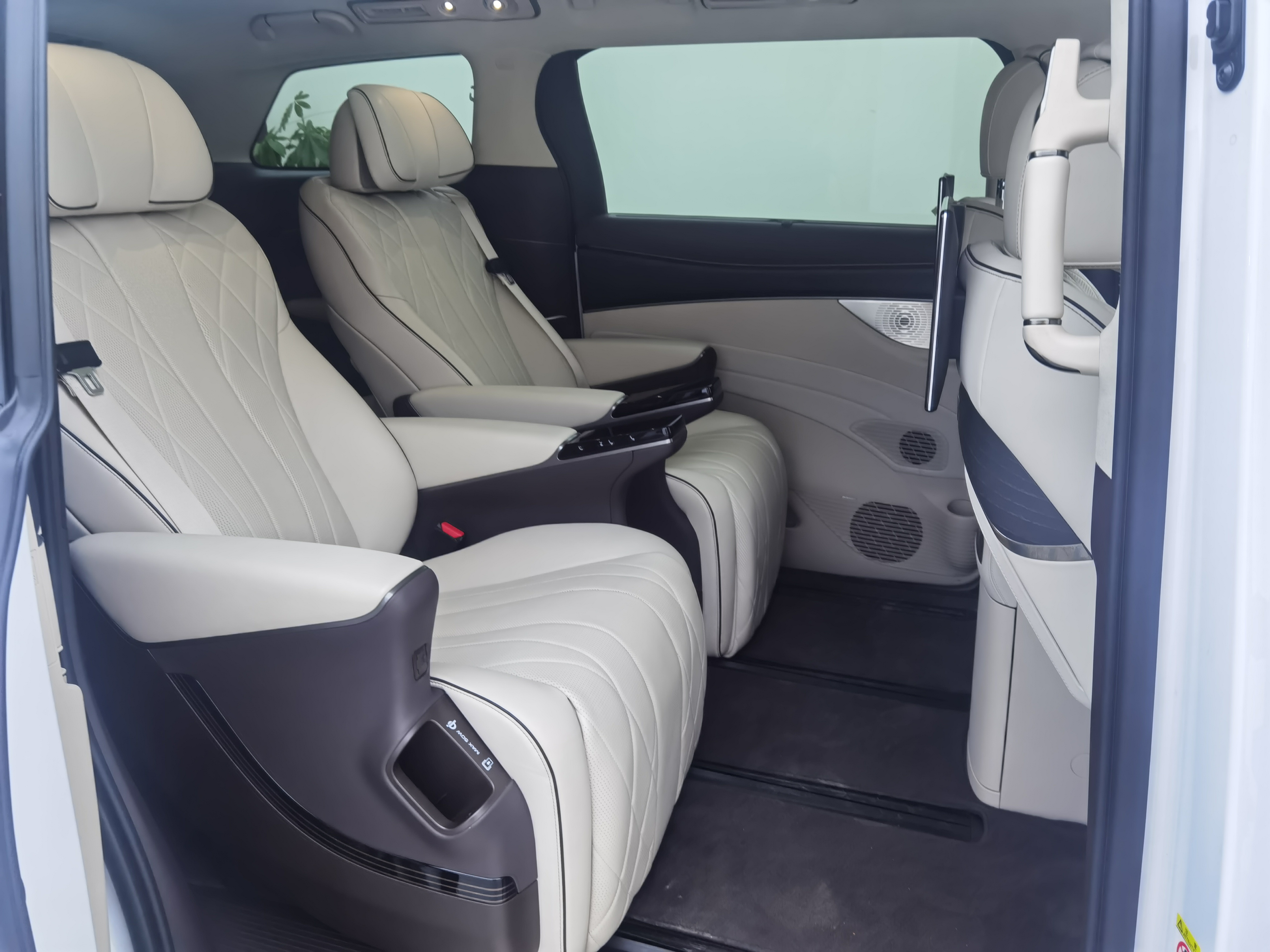 Denza D9 2024 immagine di auto #6