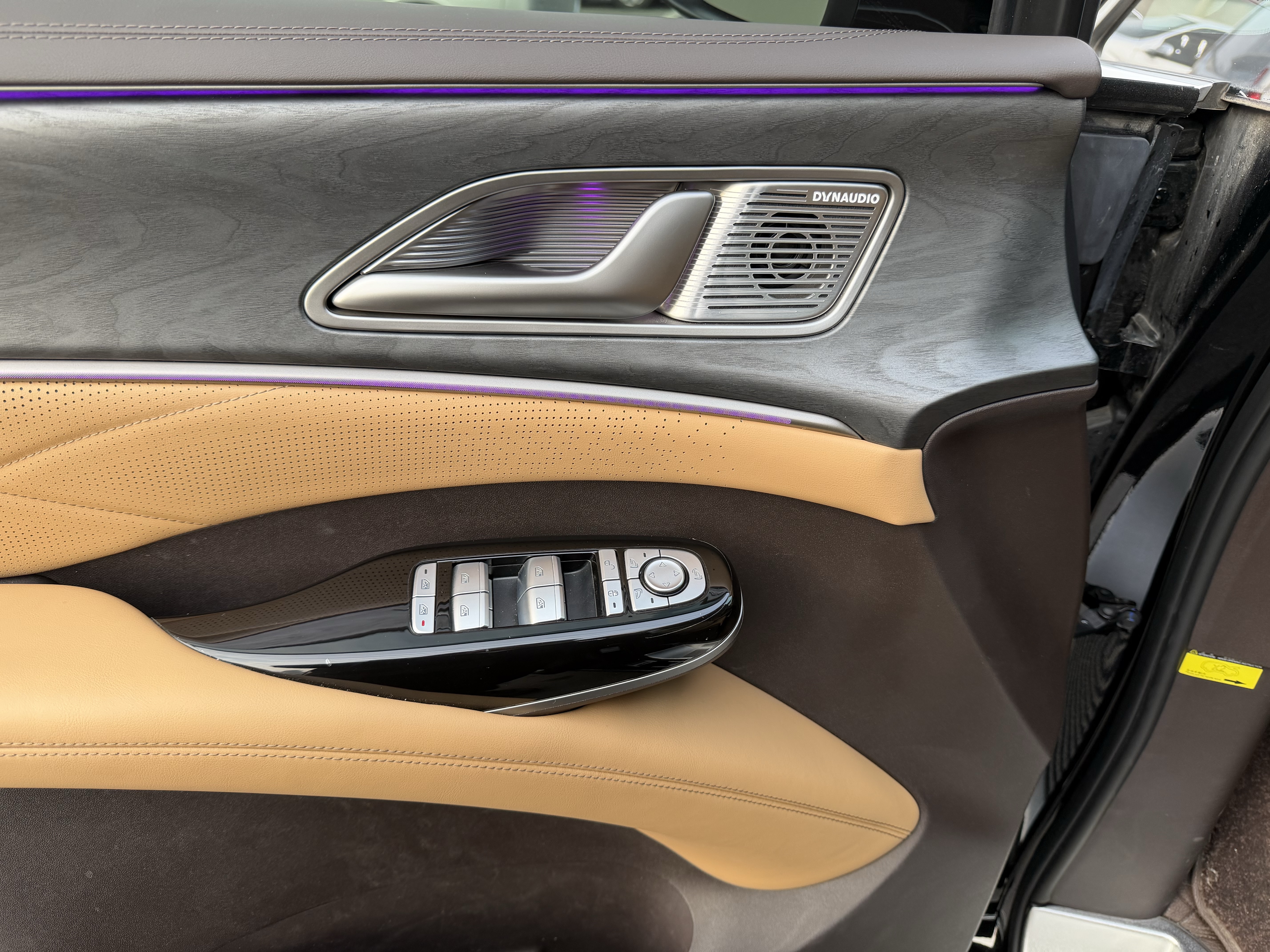 Denza D9 2024 car image #6