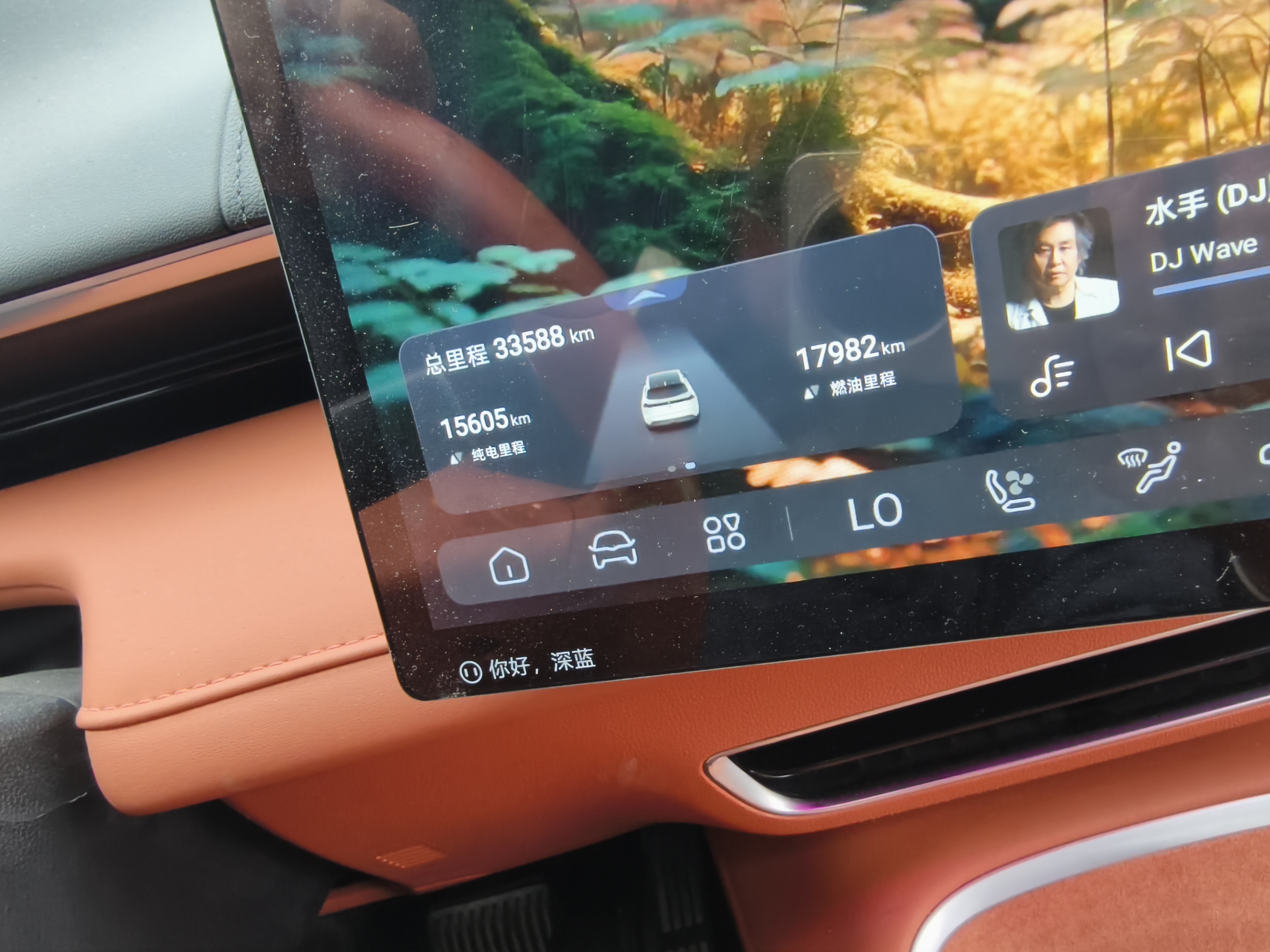 Deepal 2024 imagem de carro #6