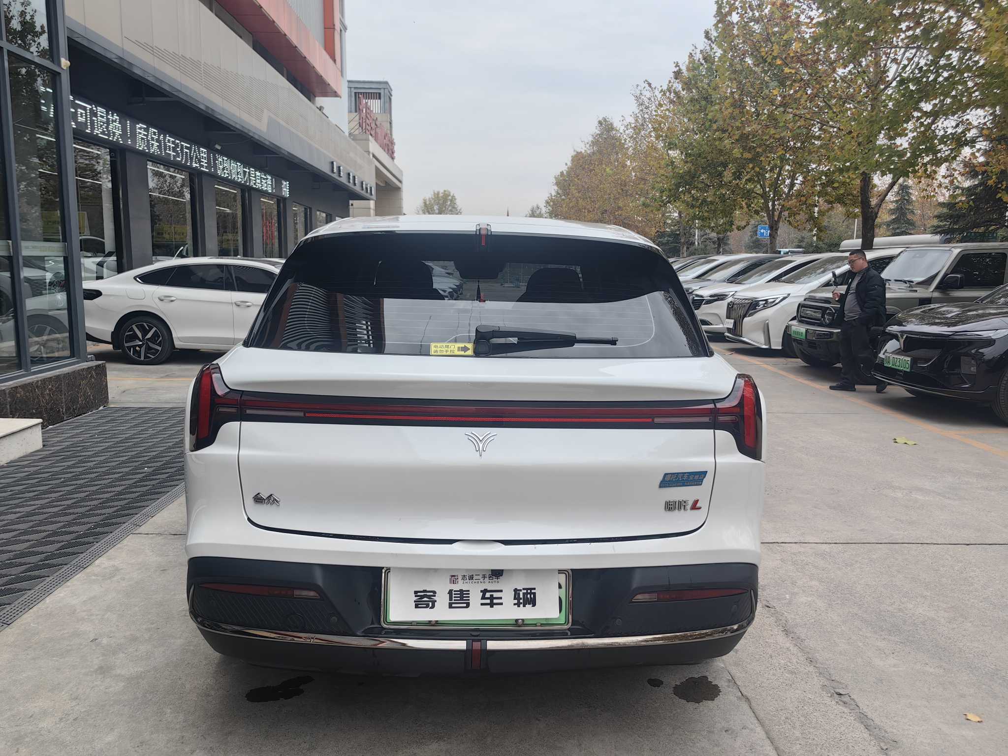 Neta L 2024 imagen de coche #6