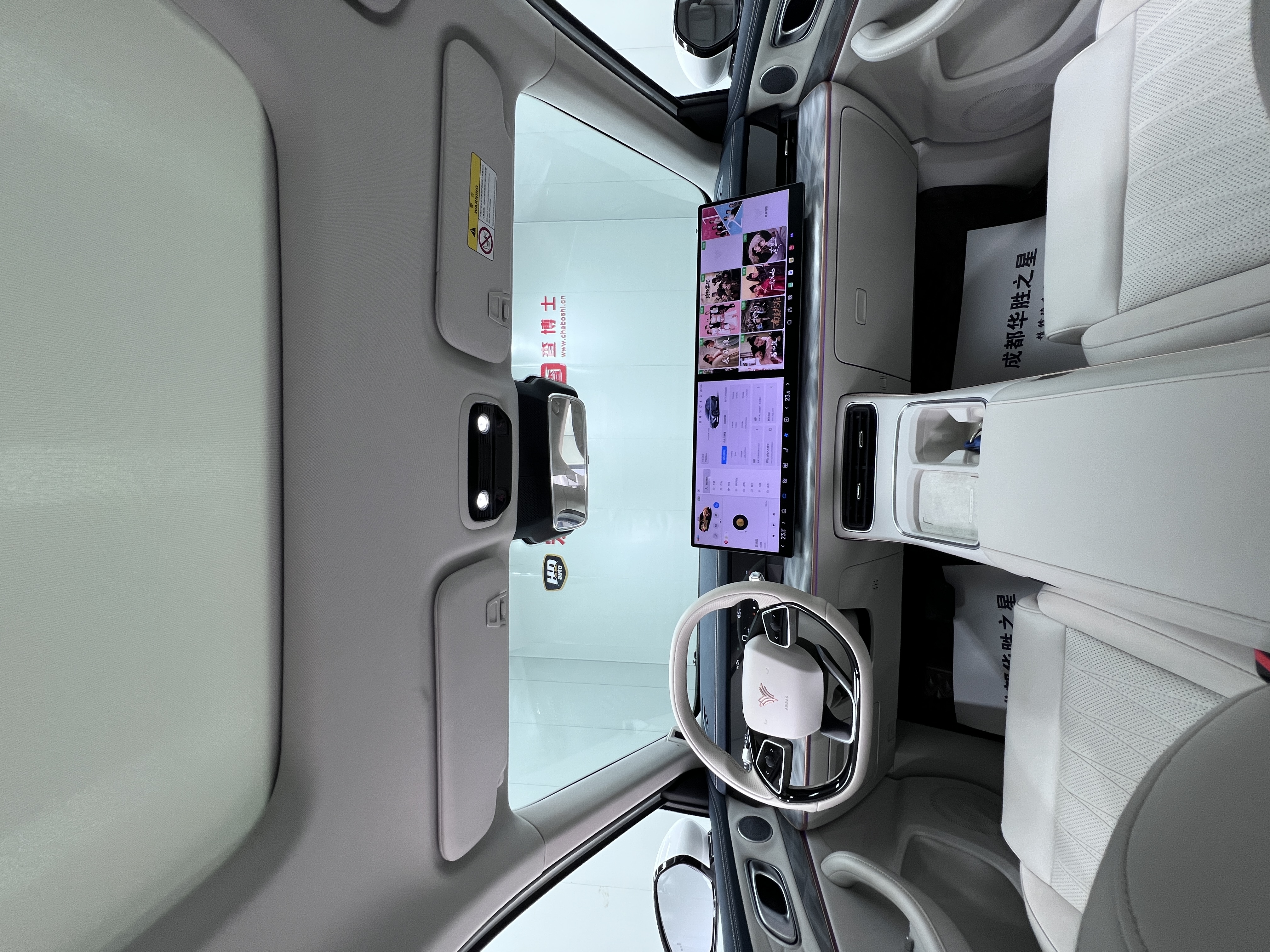 Neta L 2024 imagen de coche #6