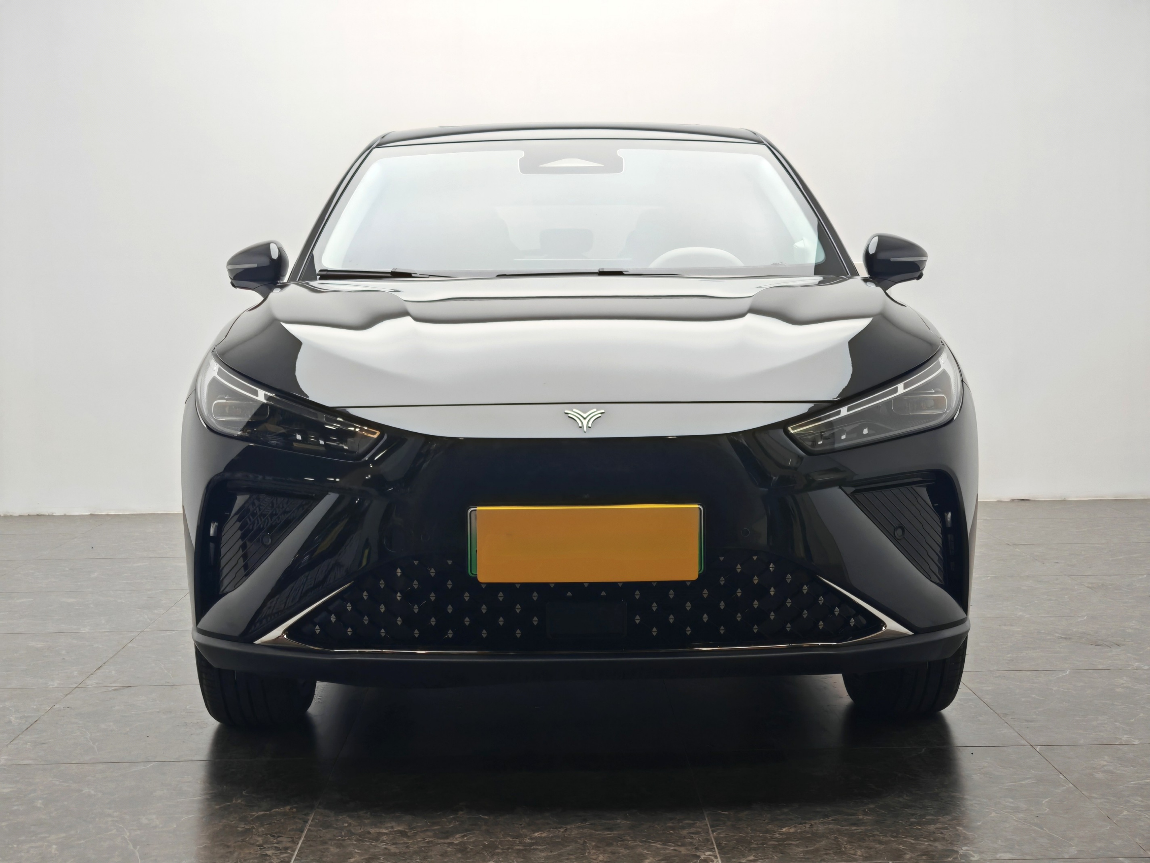 Neta L 2024 imagen de coche #6