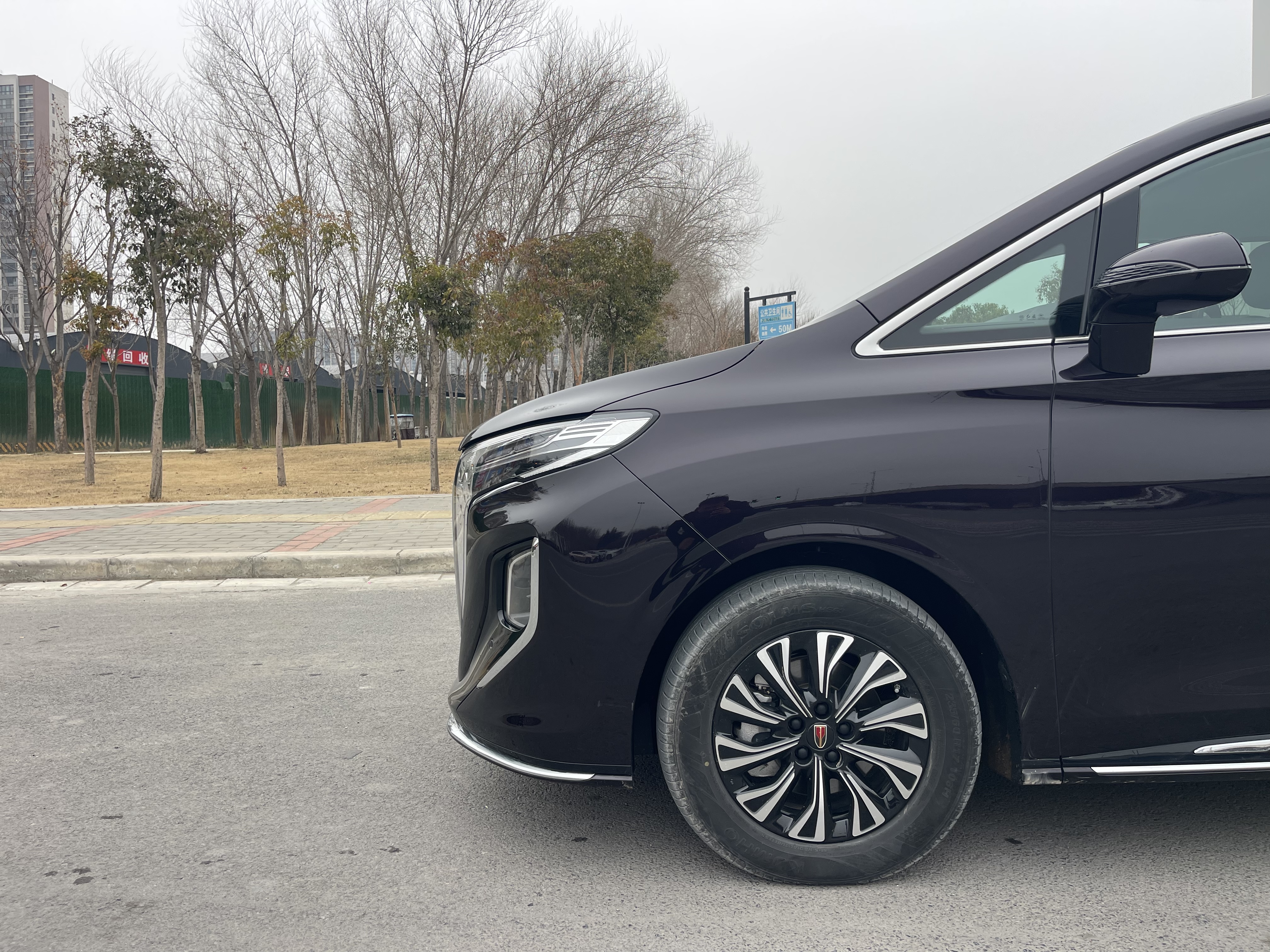 HongQi HQ9 PHEV 2024 car image #6