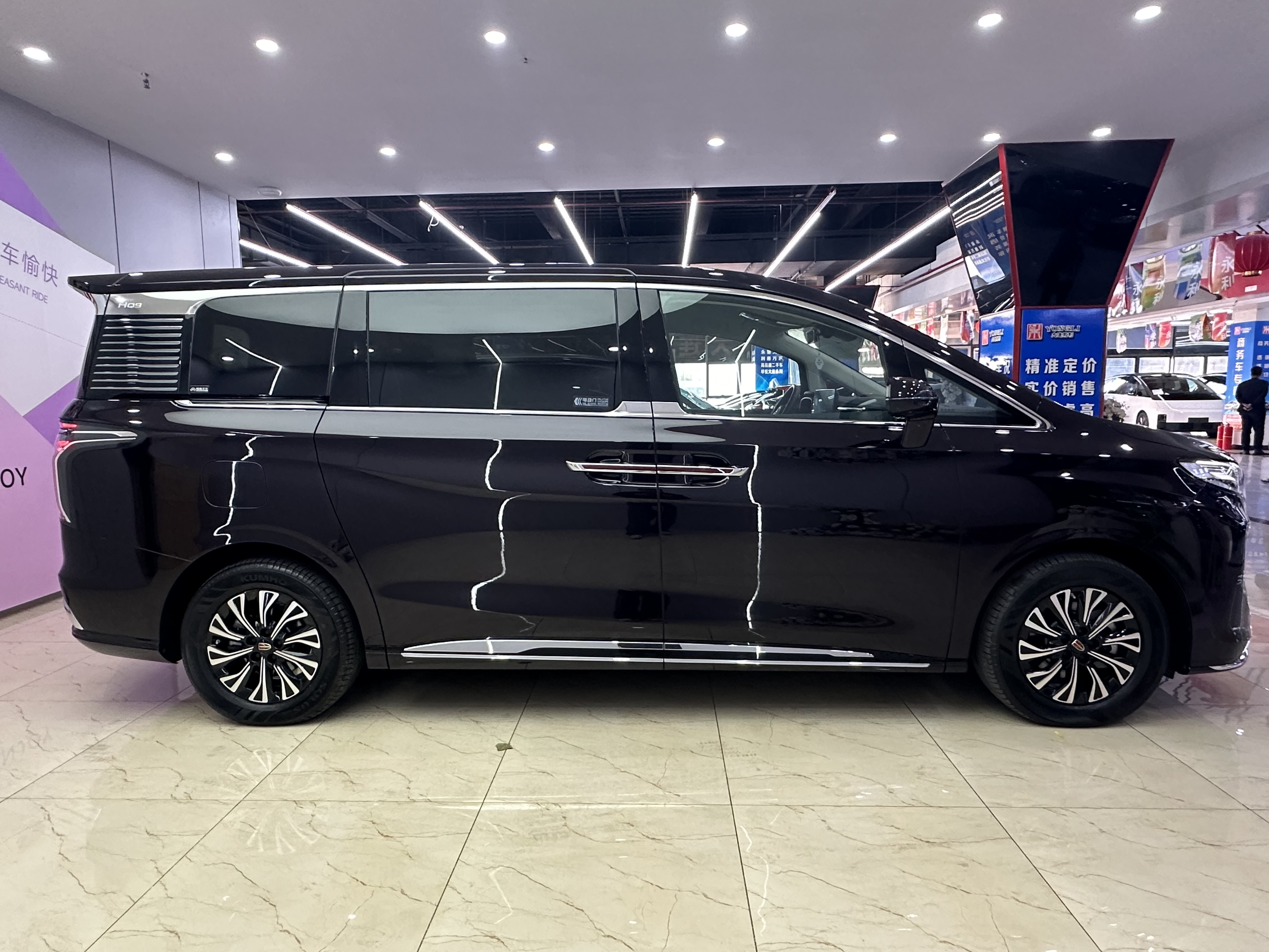 HongQi HQ9 PHEV 2024 car image #6