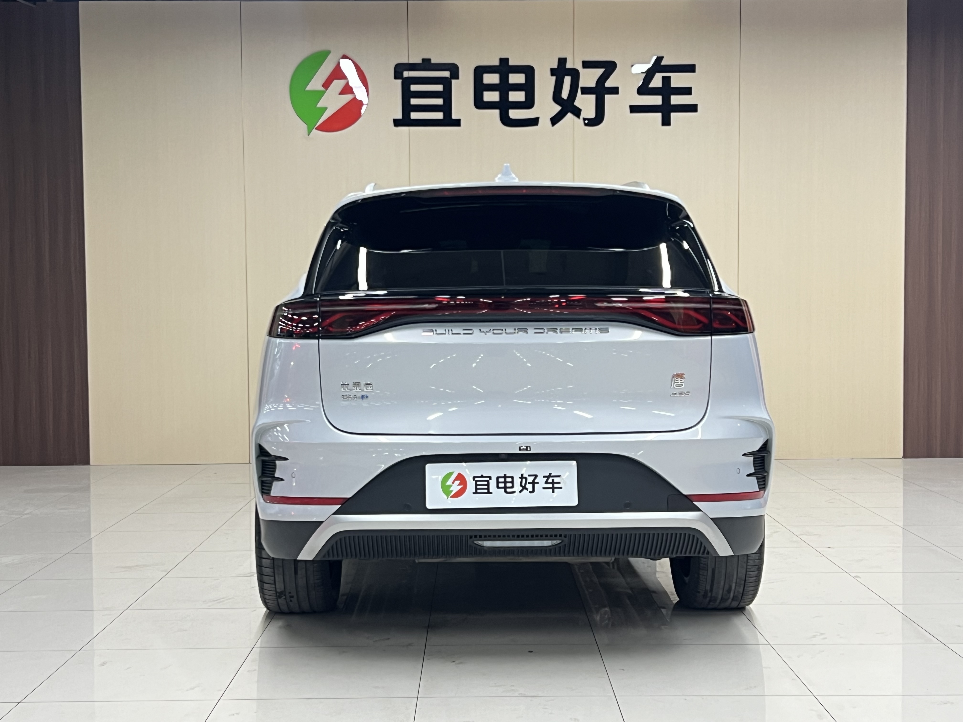 BYD Tang New Energy 2024 car image #6