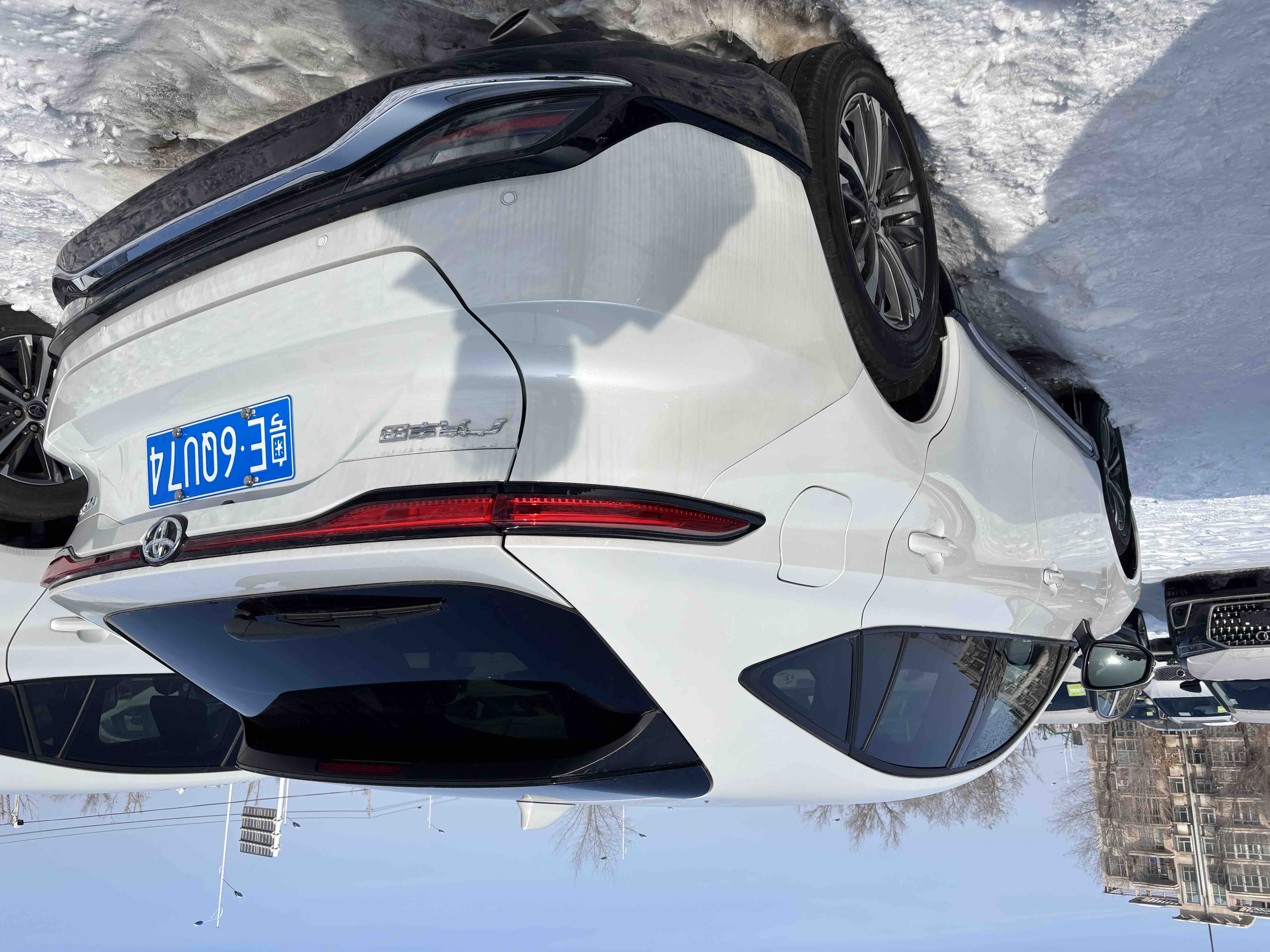 Toyota Venza 2025 immagine di auto #6