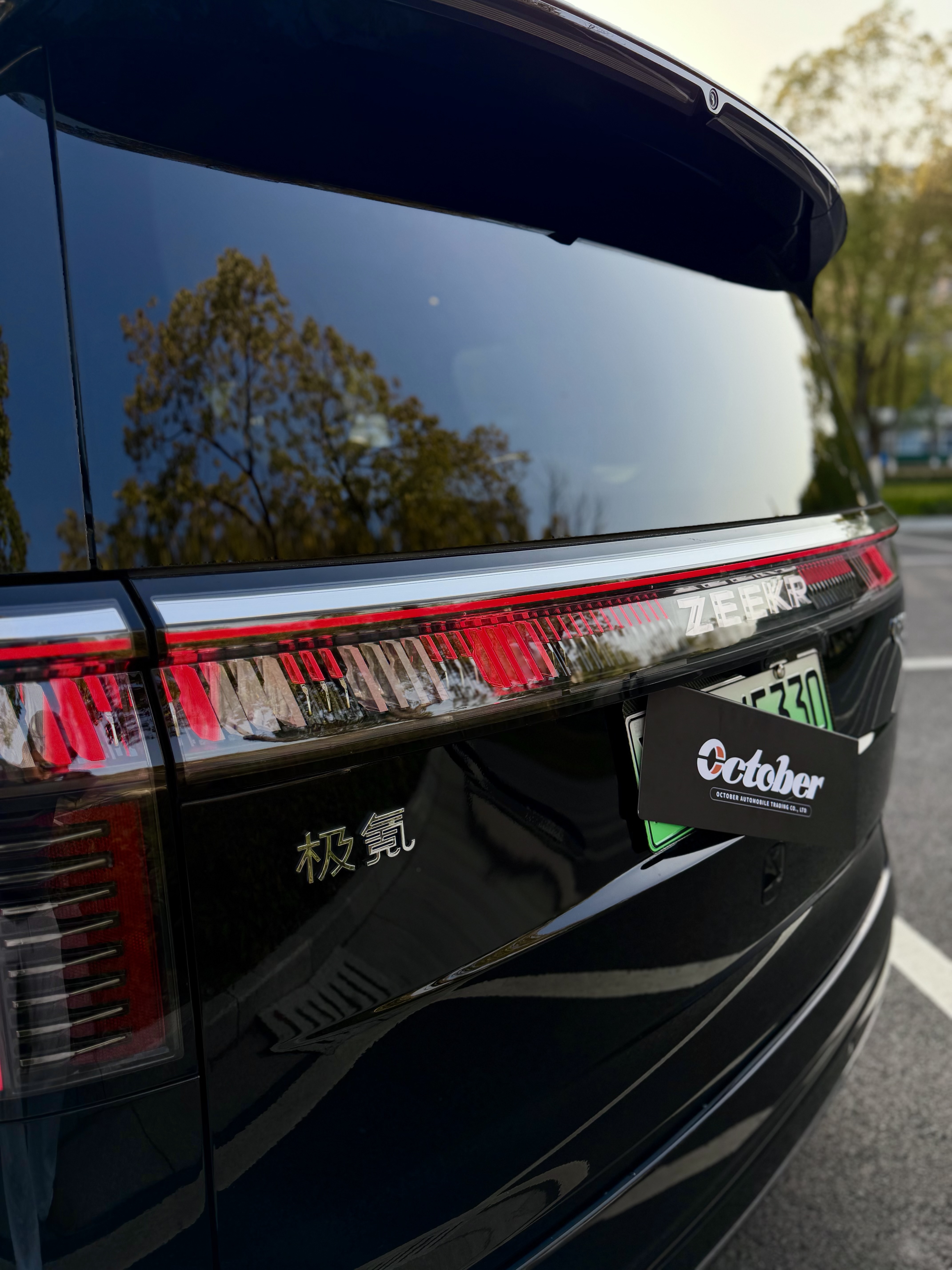 极氪 极氪009 2024 汽车图片 #6