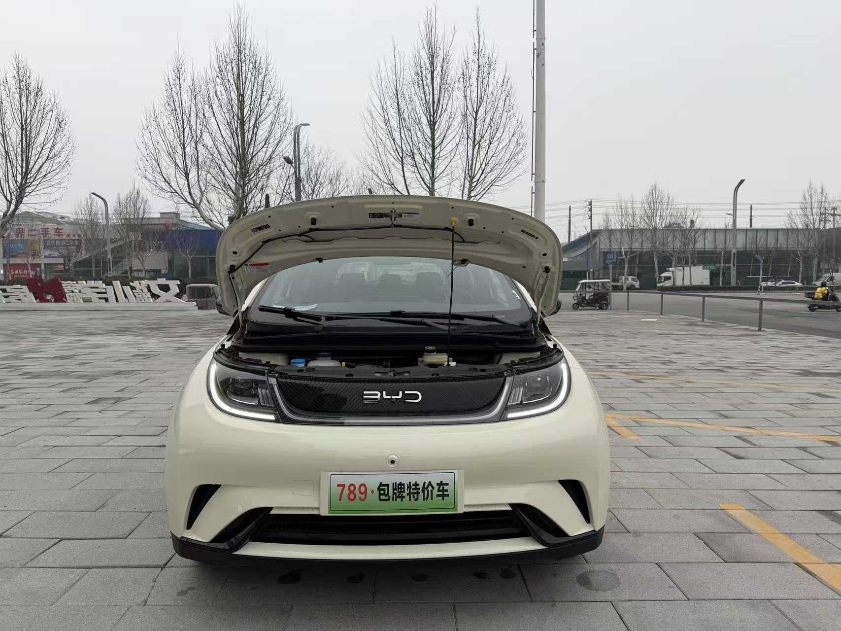 BYD Dolphin 2026 #6 BYD Dolphin 2026 car image #6