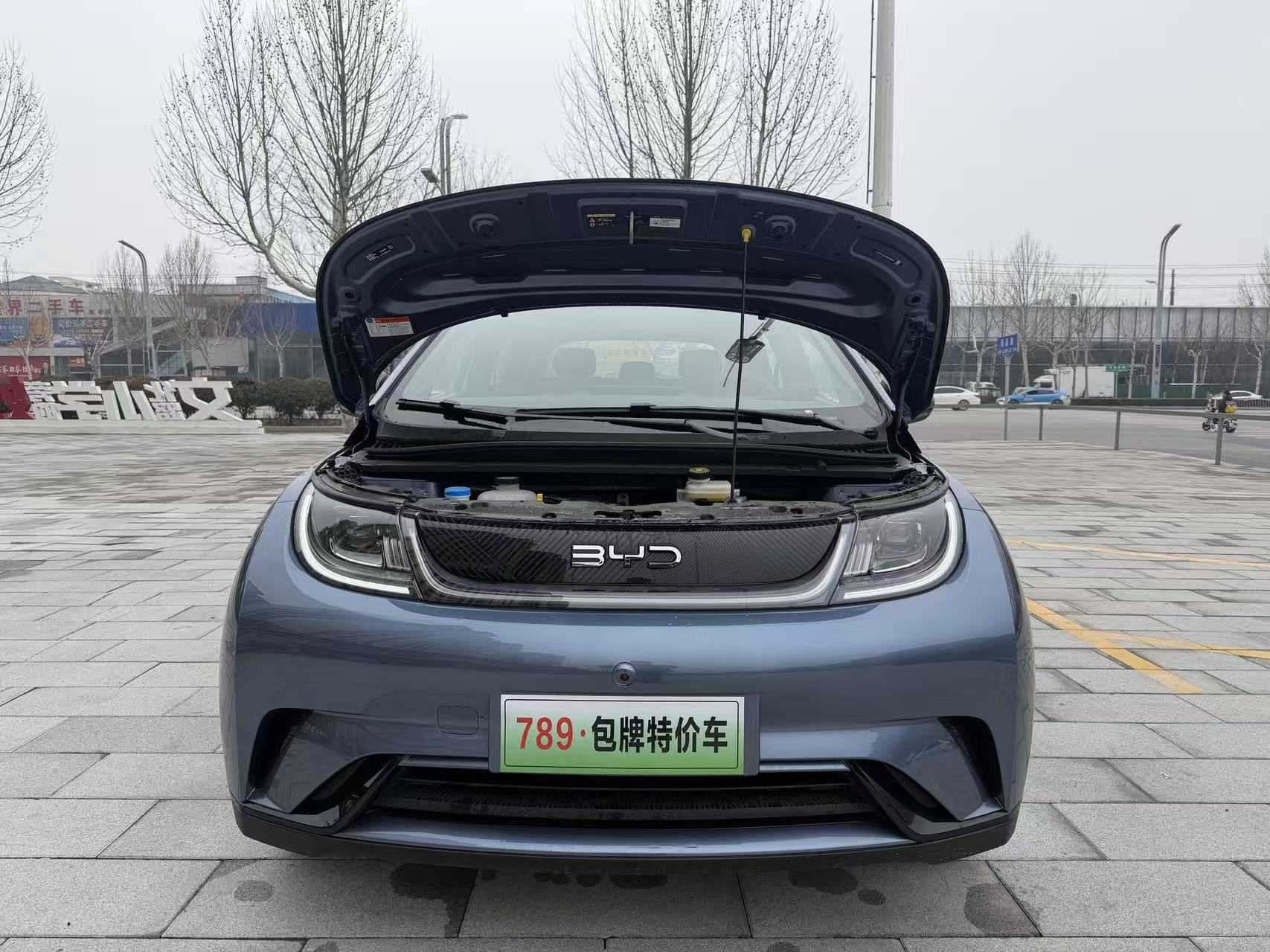 BYD Dolphin 2026 #6 BYD Dolphin 2026 car image #6