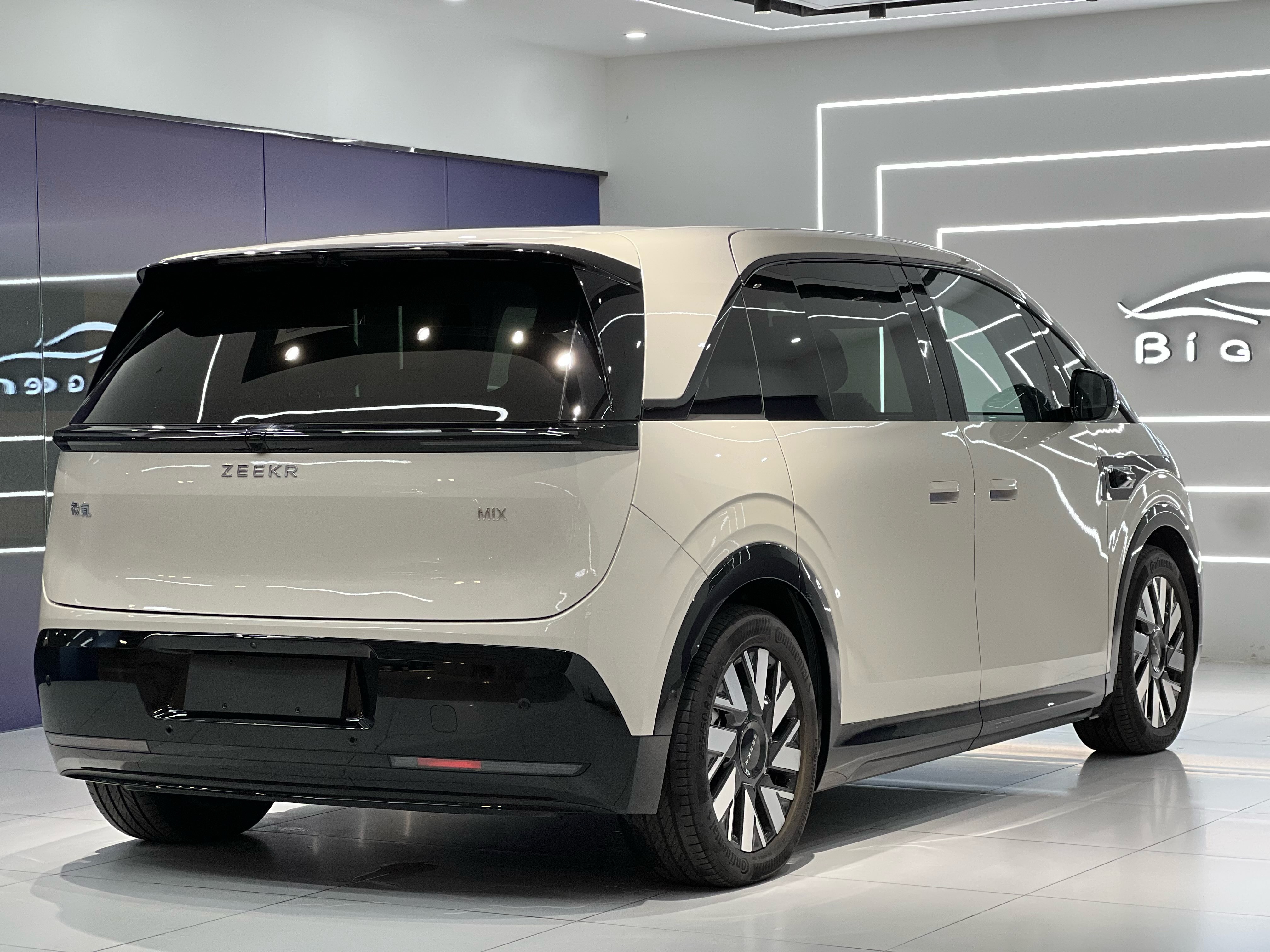 极氪 极氪MIX 2024 汽车图片 #6