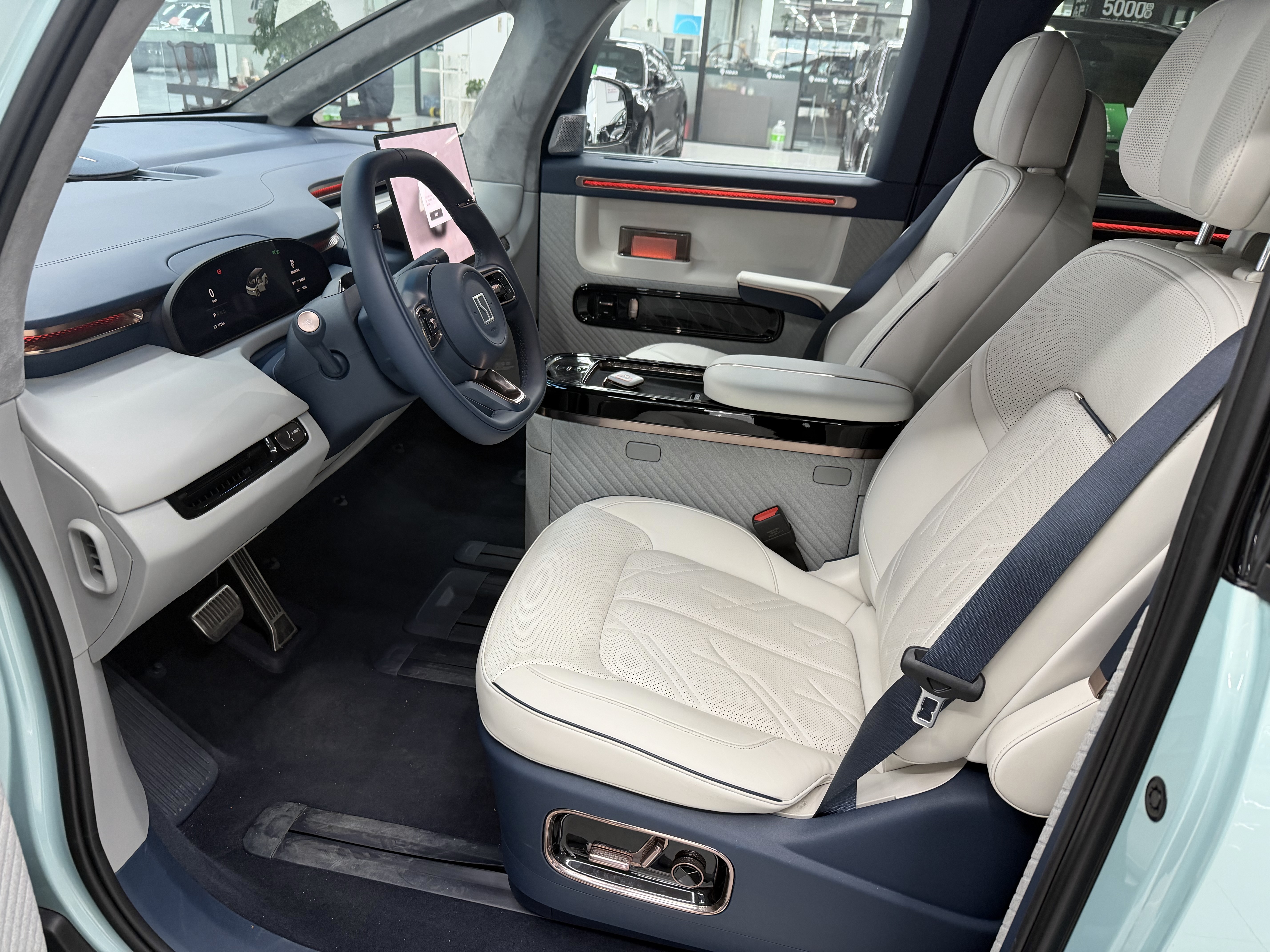 极氪 极氪MIX 2024 汽车图片 #6