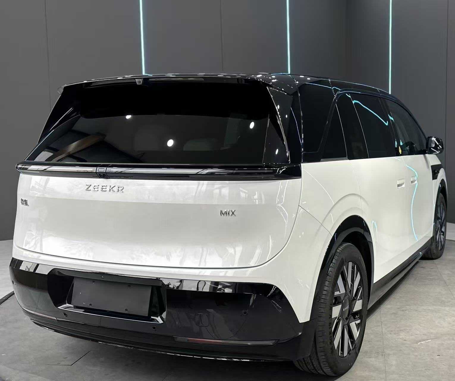 极氪 极氪MIX 2024 汽车图片 #6