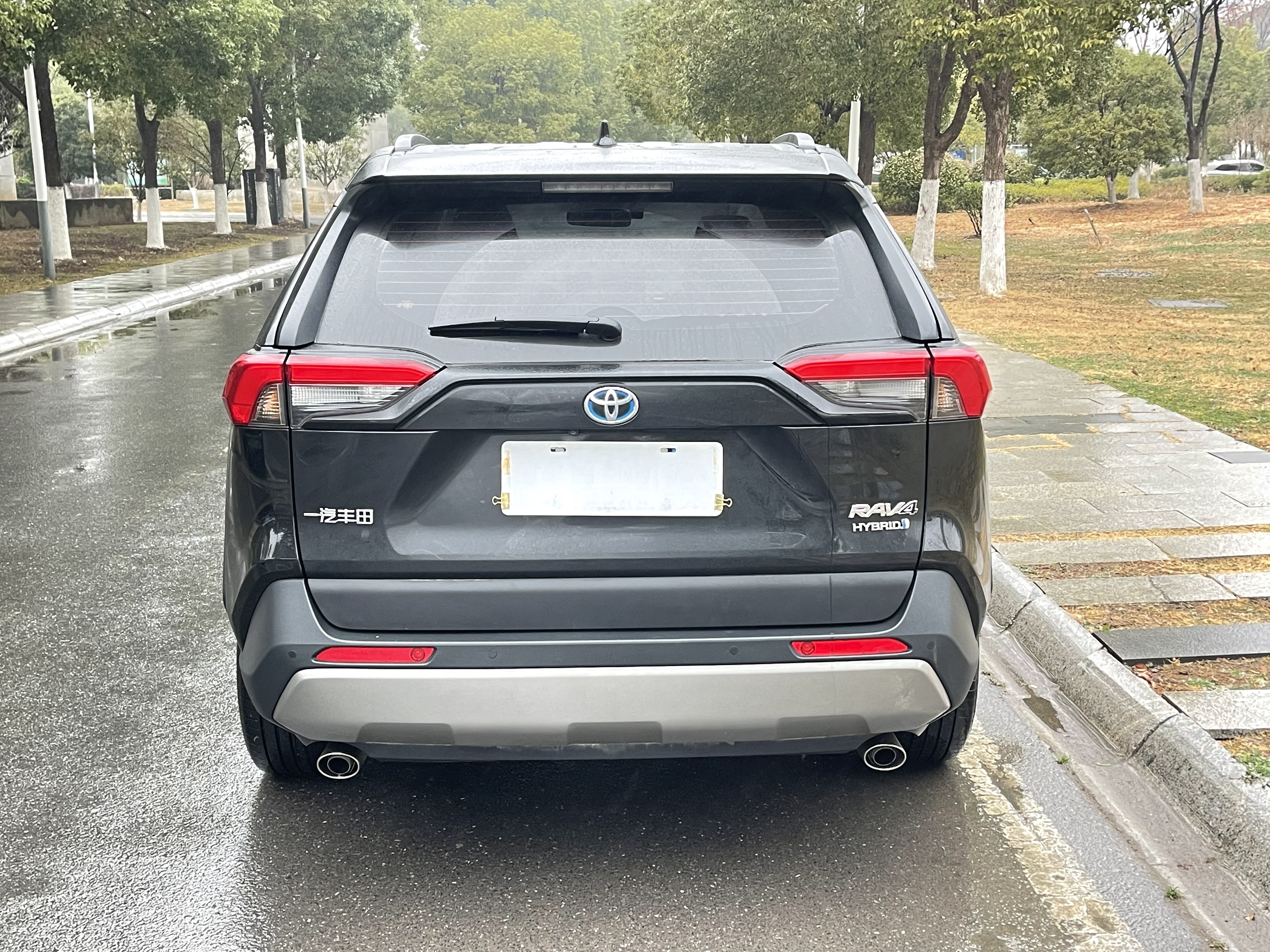 Toyota RAV4 2025 car image #6
