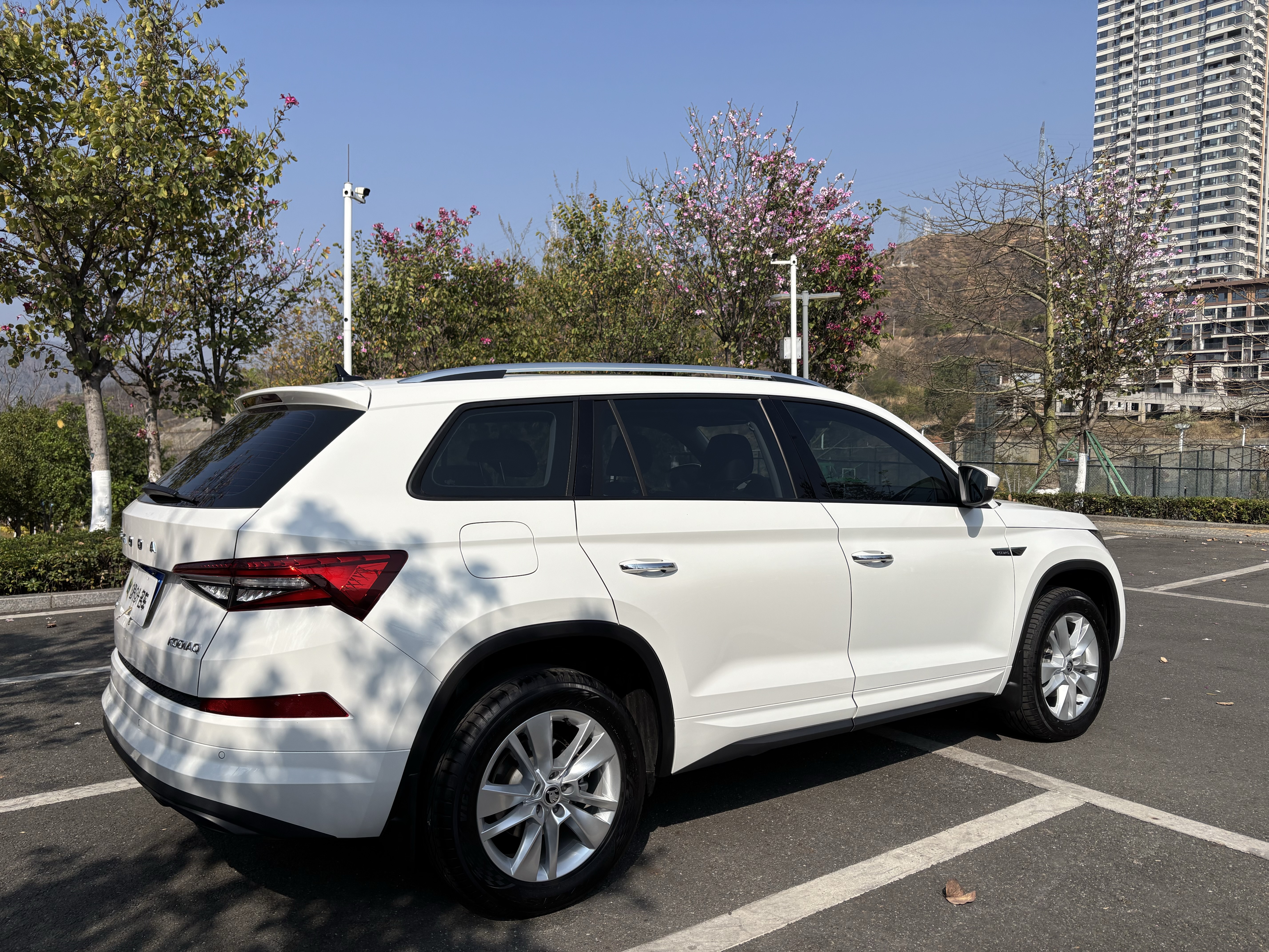 Skoda Kodiaq 2025 صورة سيارة #6