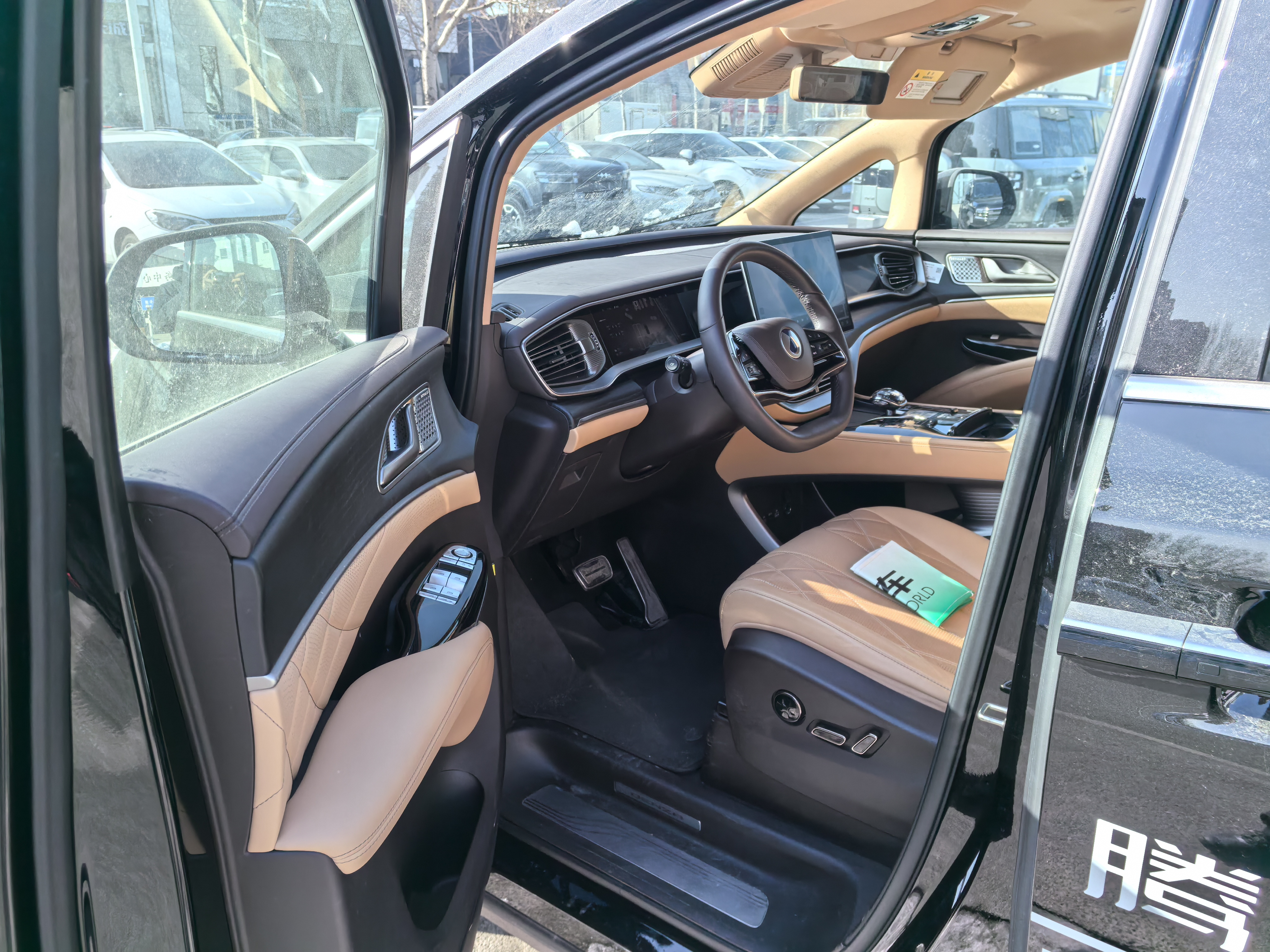 Denza D9 2025 car image #6