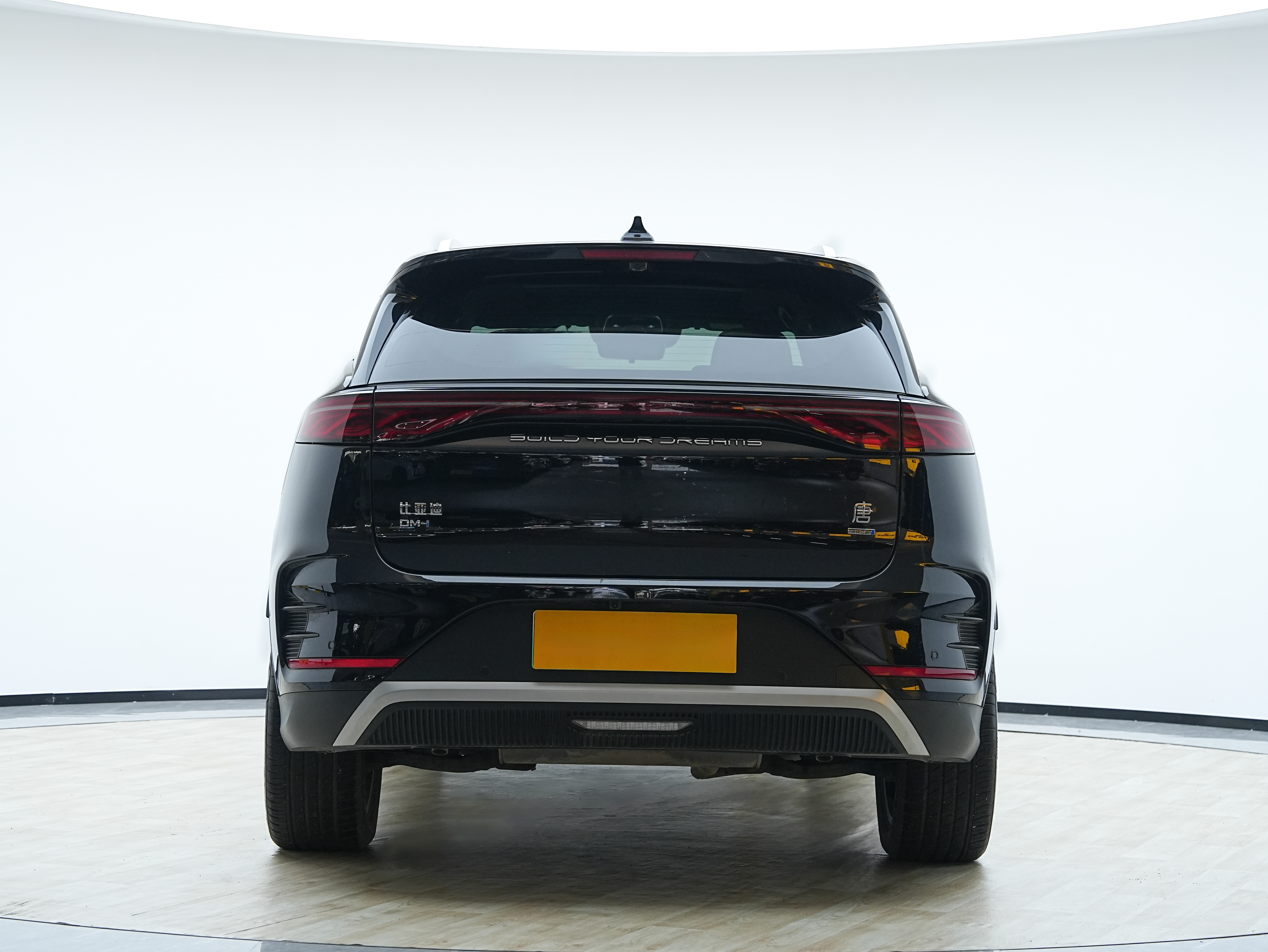 BYD Tang New Energy 2025 car image #6