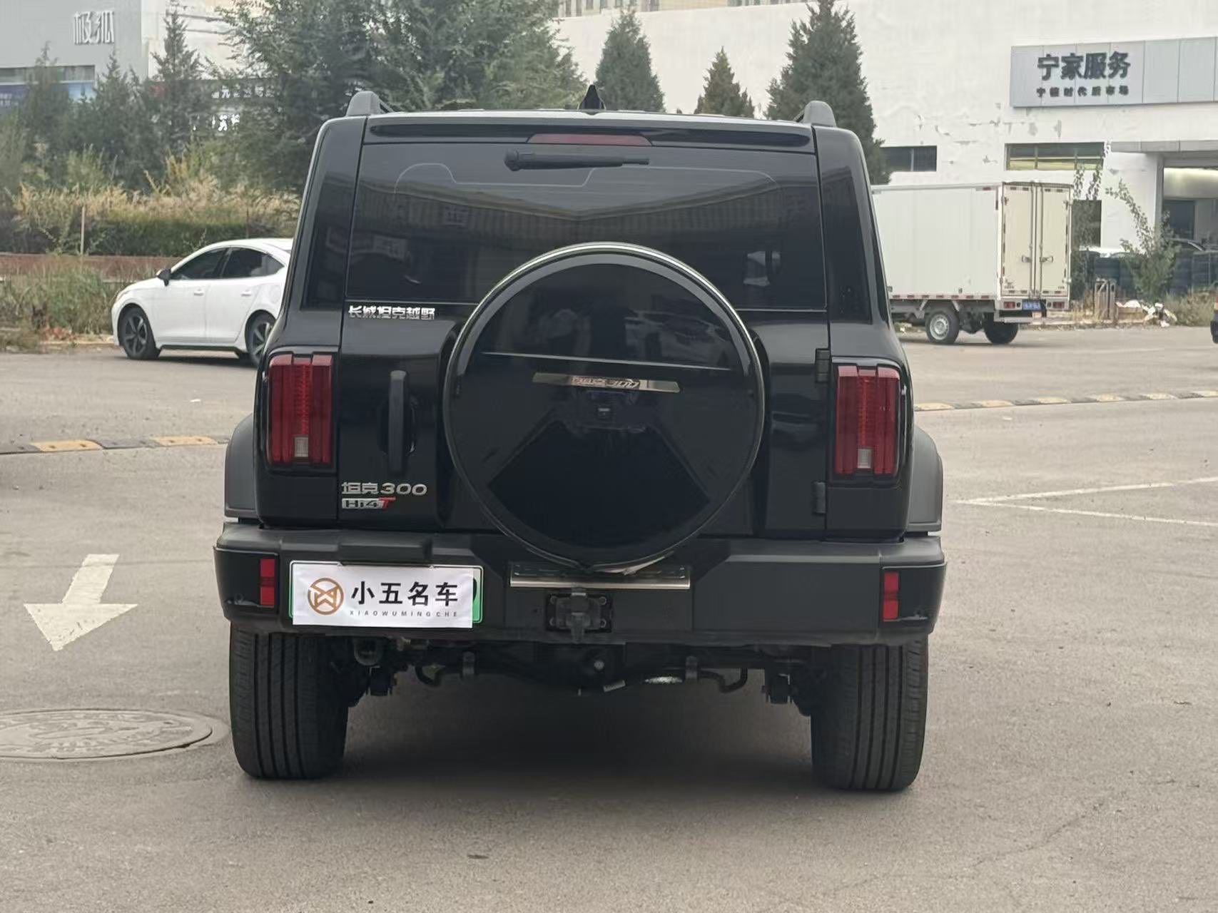 Tank 300 New Energy 2025 car image #6