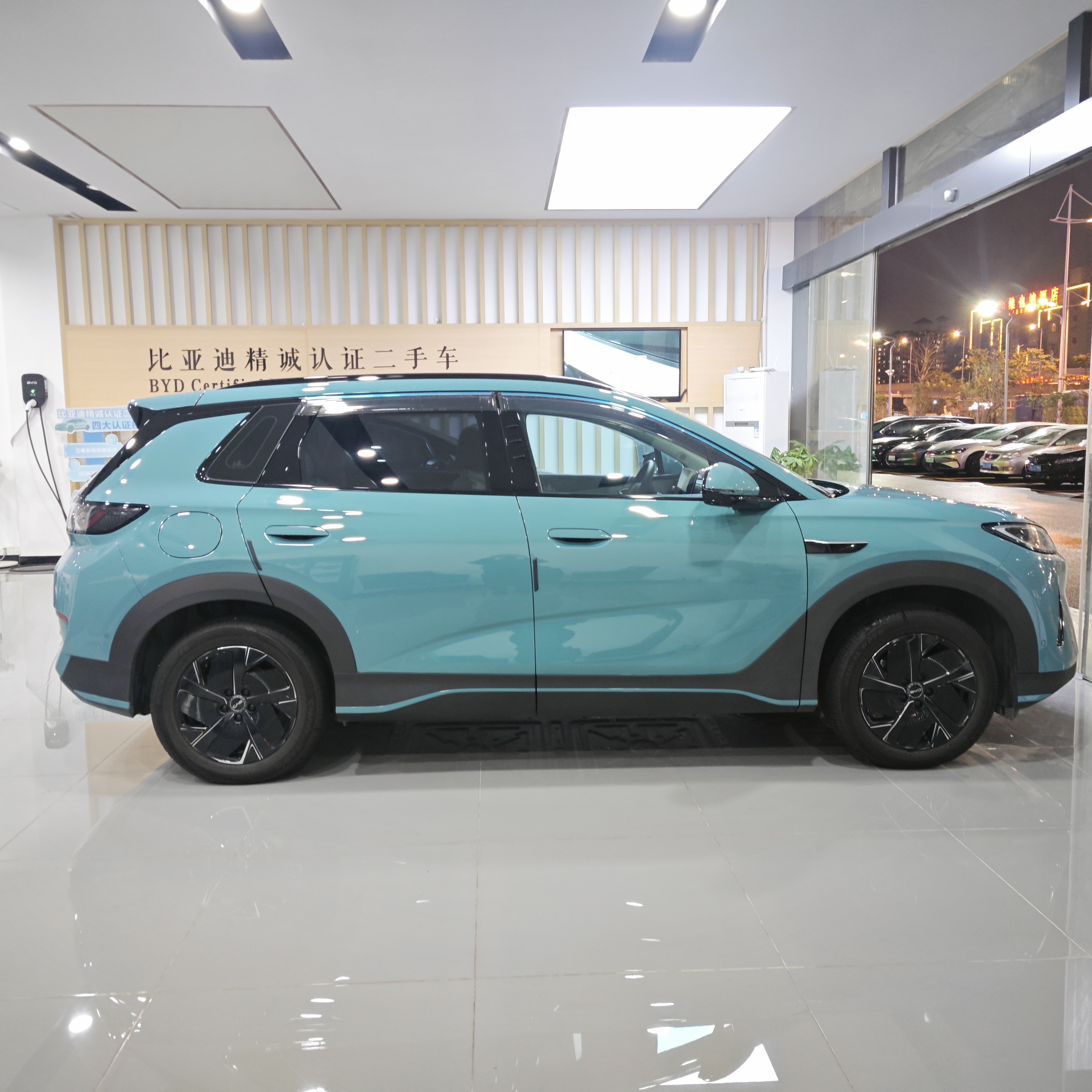 BYD Sea Lion 05 EV 2025 car image #6