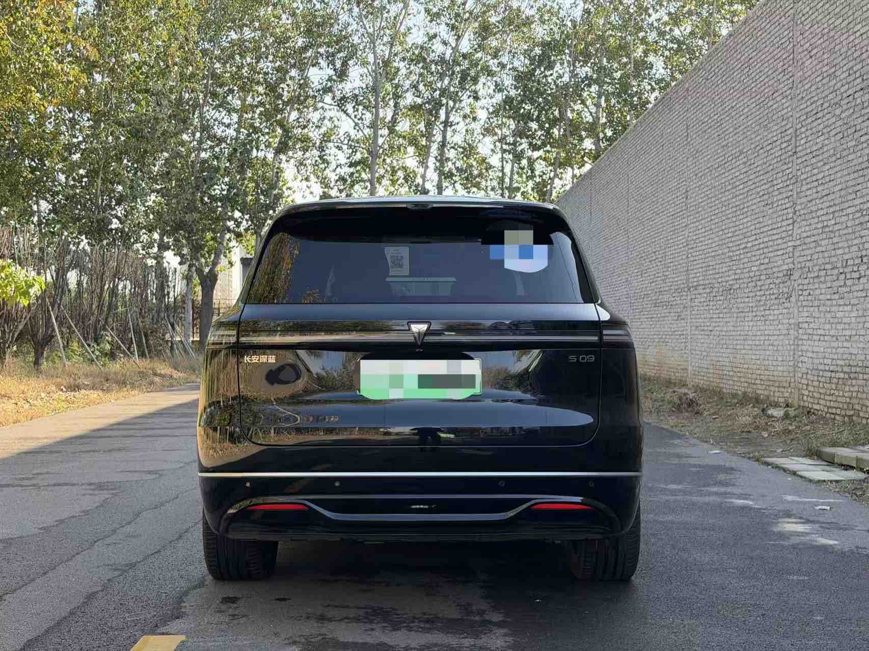 Deepal S09 2025 car image #6