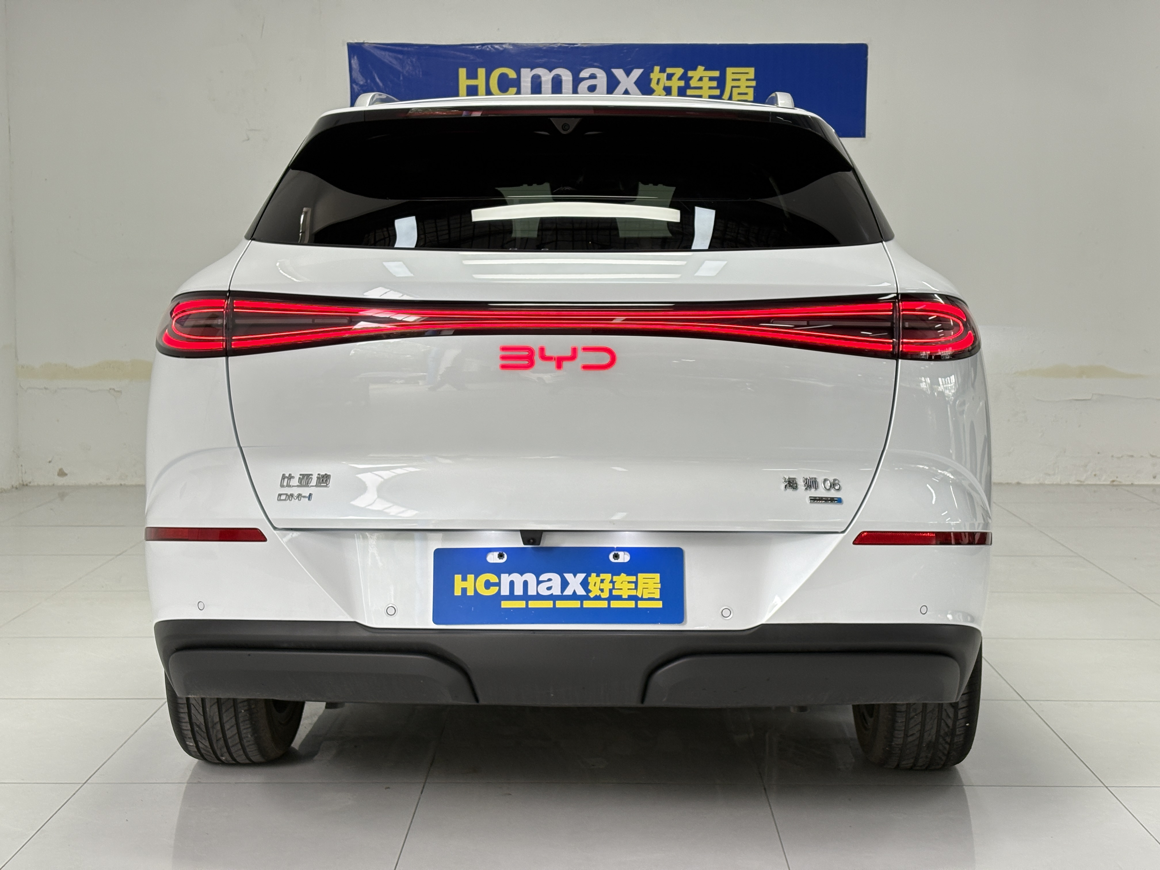 BYD Sea Lion 06 New Energy 2025 car image #6