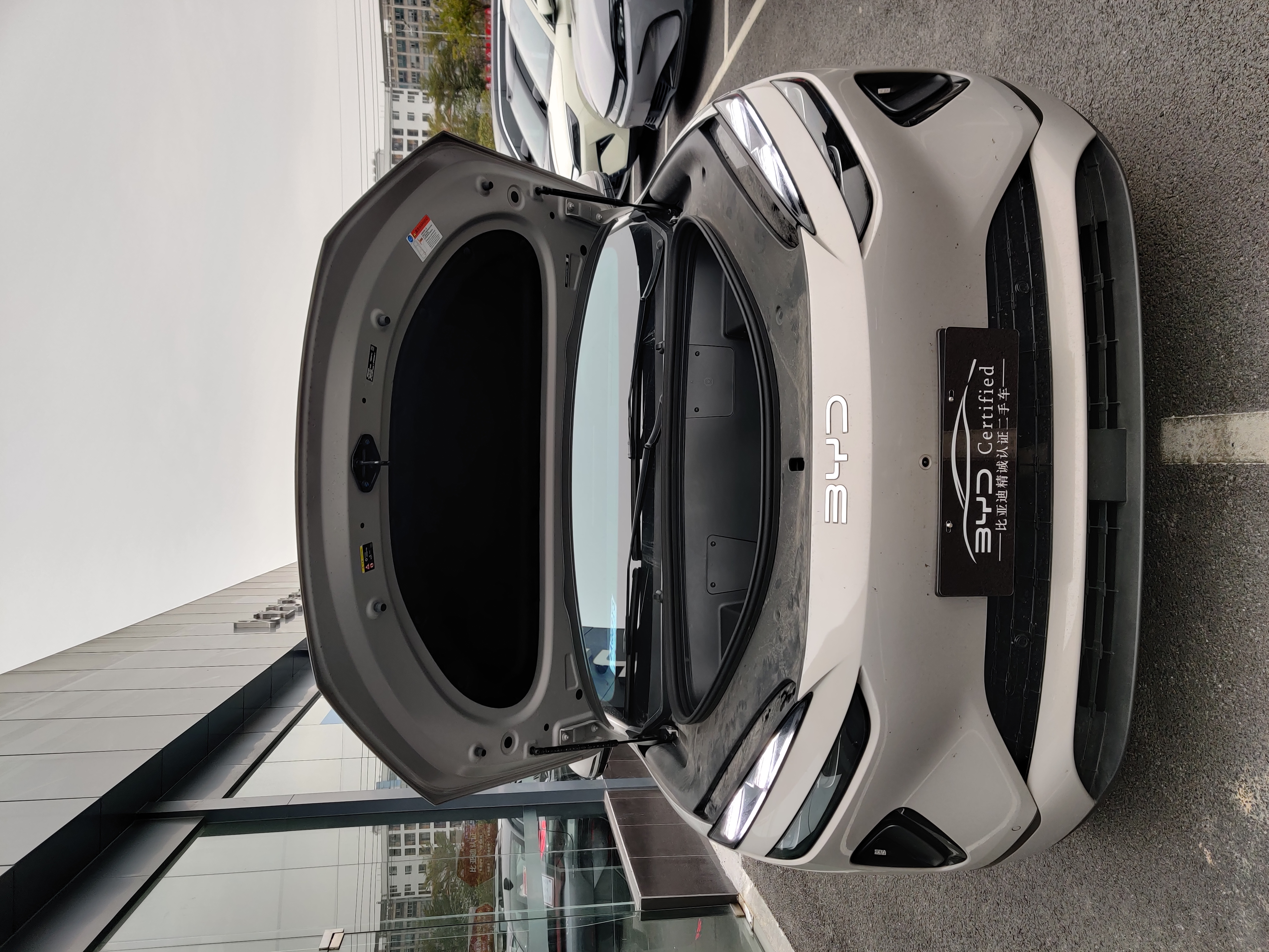 BYD Sea Lion 06 New Energy 2025 car image #6