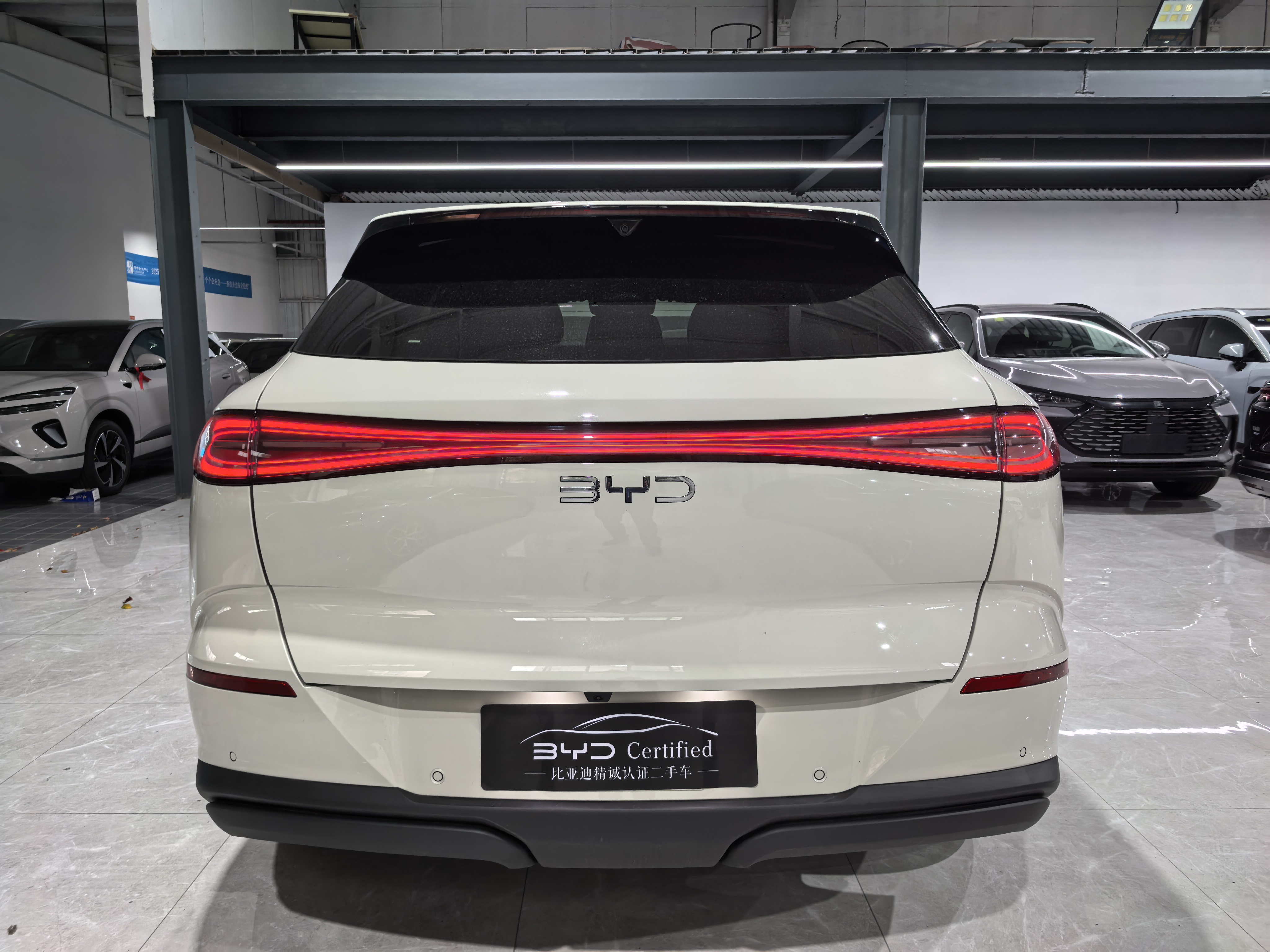 BYD Sea Lion 06 New Energy 2025 car image #6