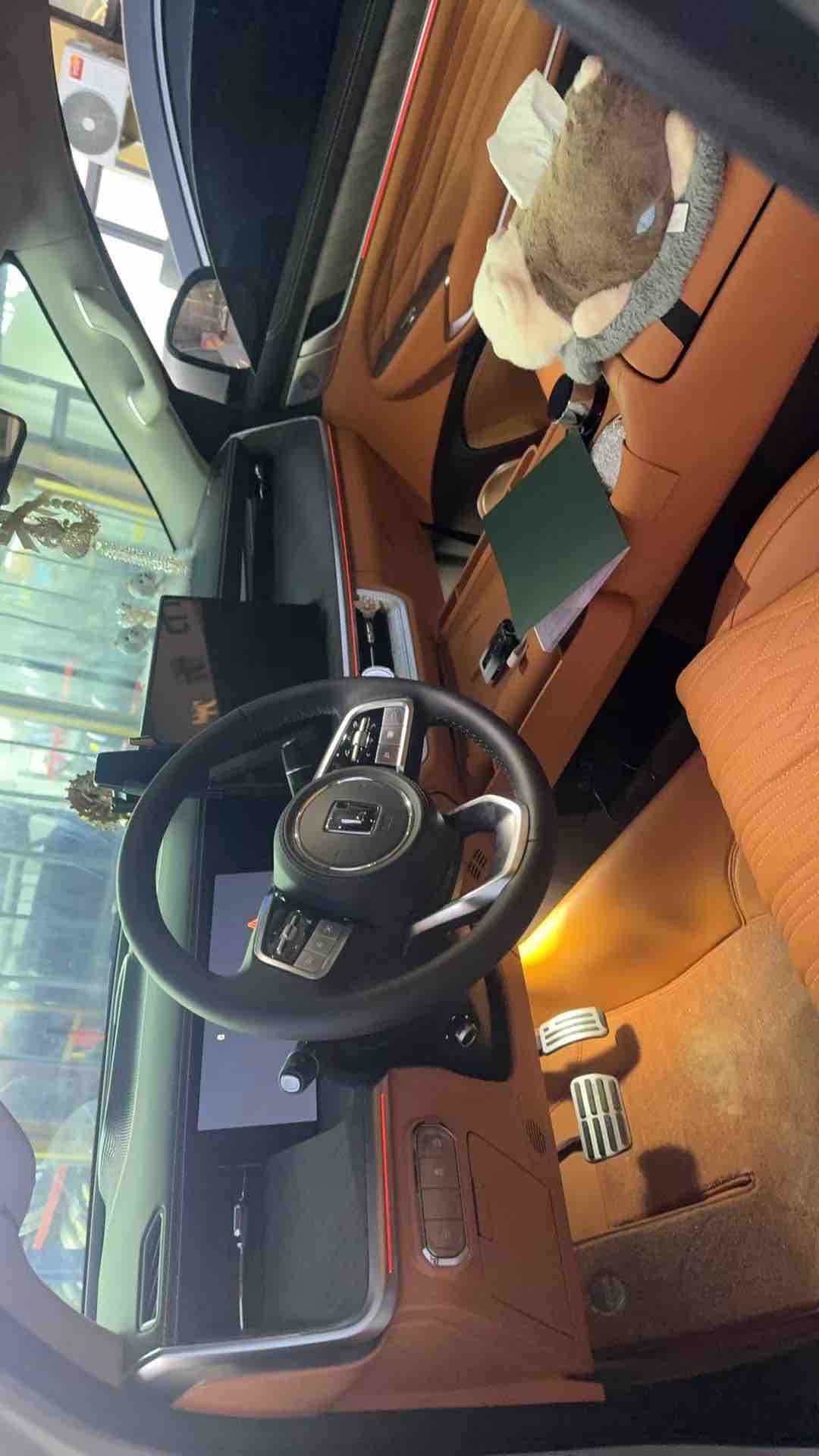 Tank 500 New Energy 2025 car image #6