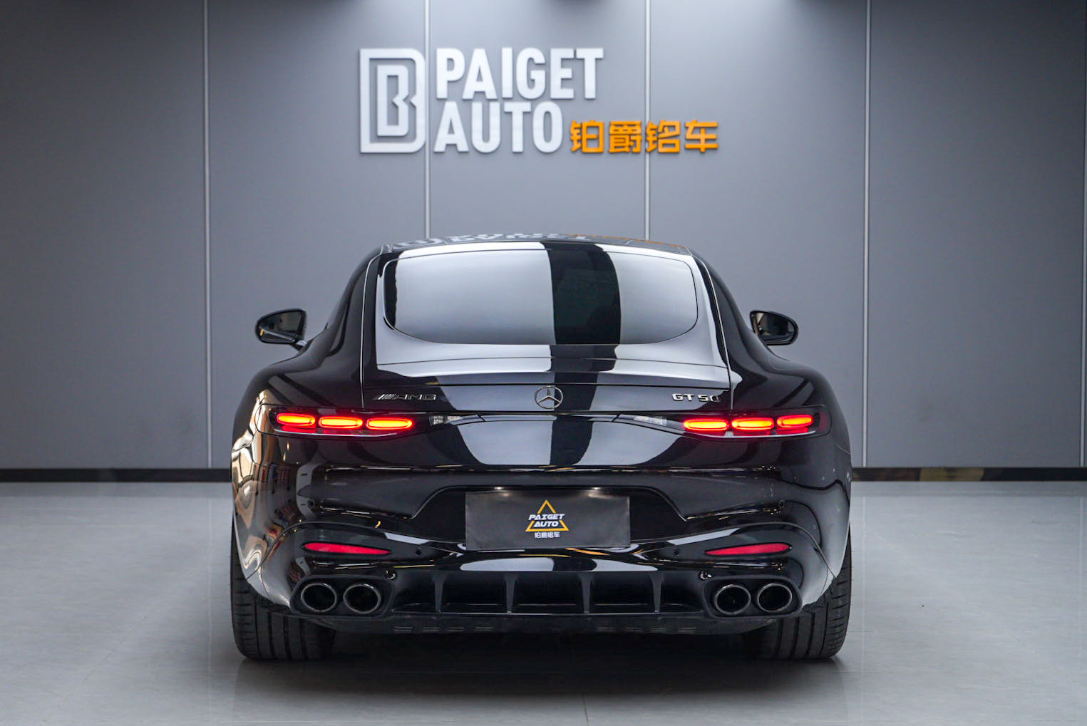 Mercedes-Benz AMG GT 2025 imagen de coche #6