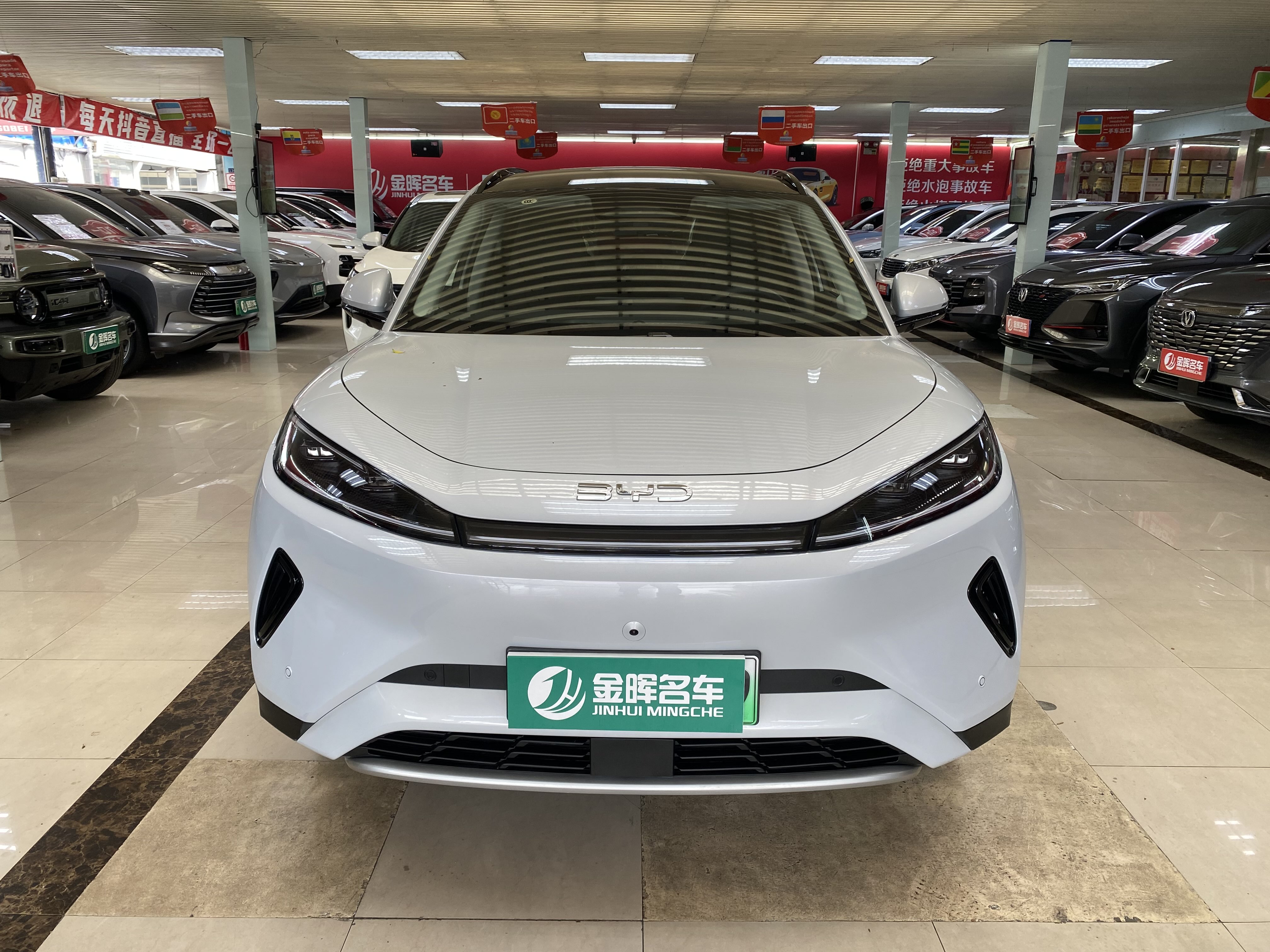 BYD Sea Lion 05 EV 2025 car image #6