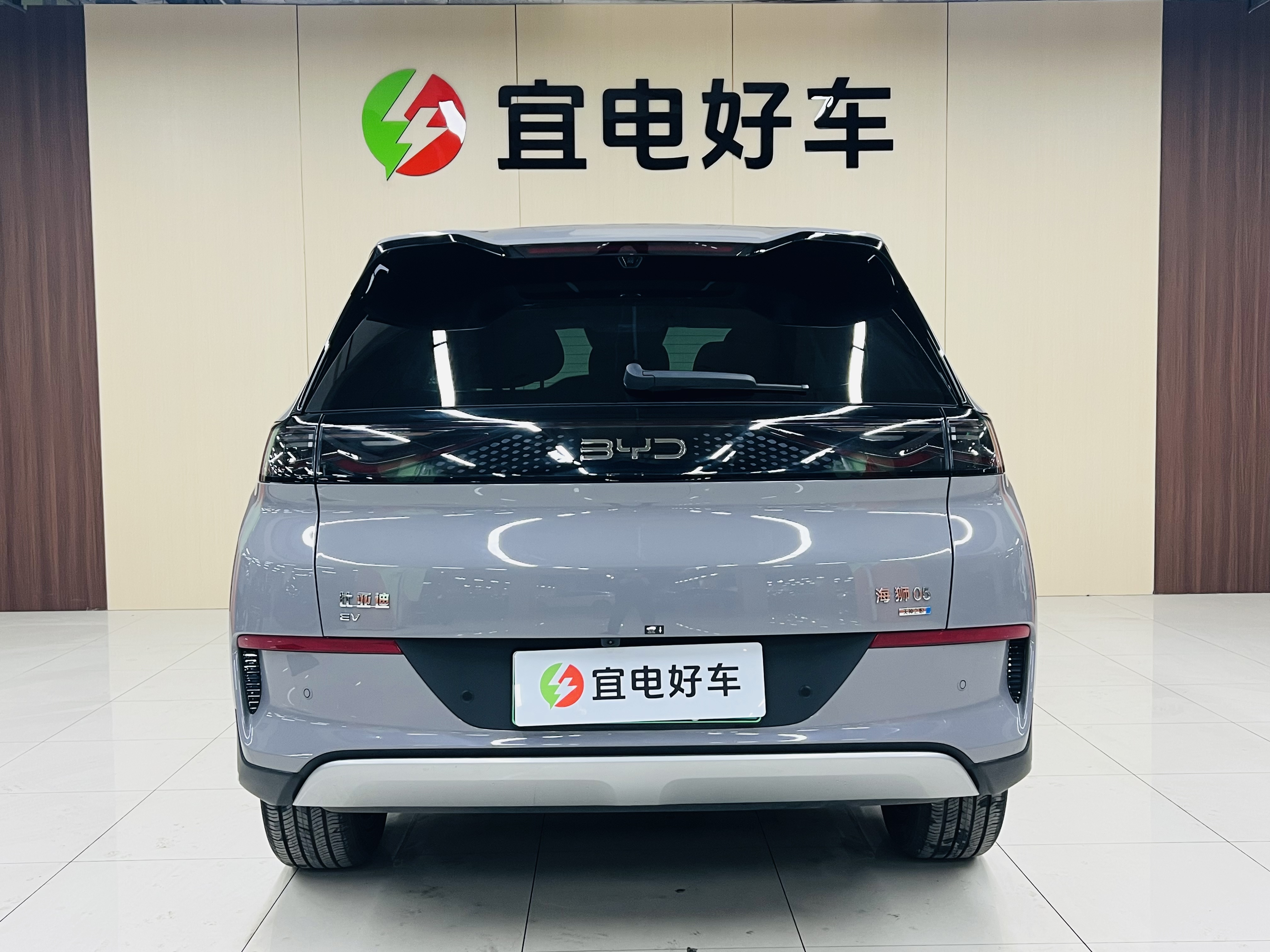 BYD Sea Lion 05 EV 2025 car image #6