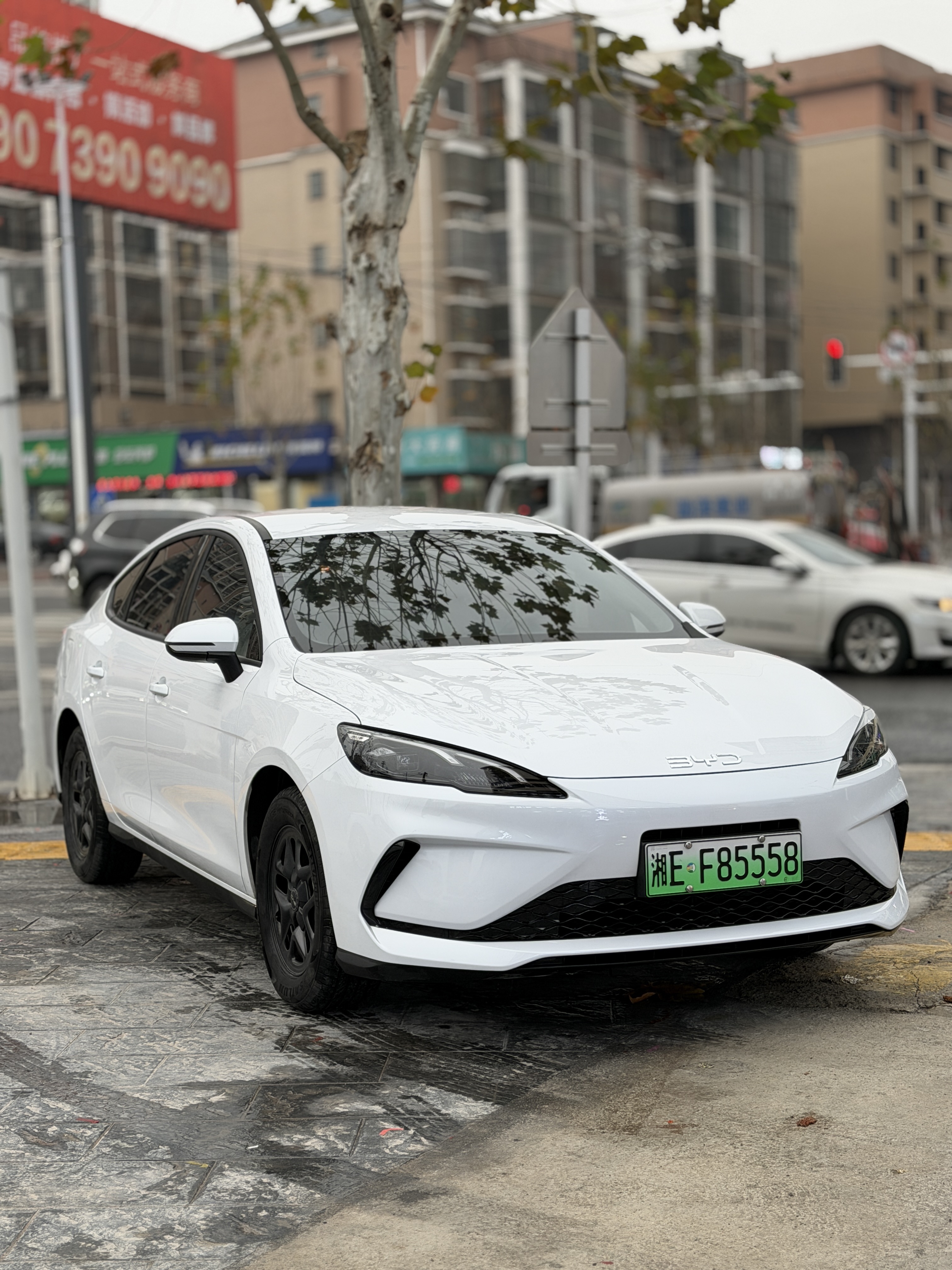 BYD Seal 05 DM-i 2025 car image #6