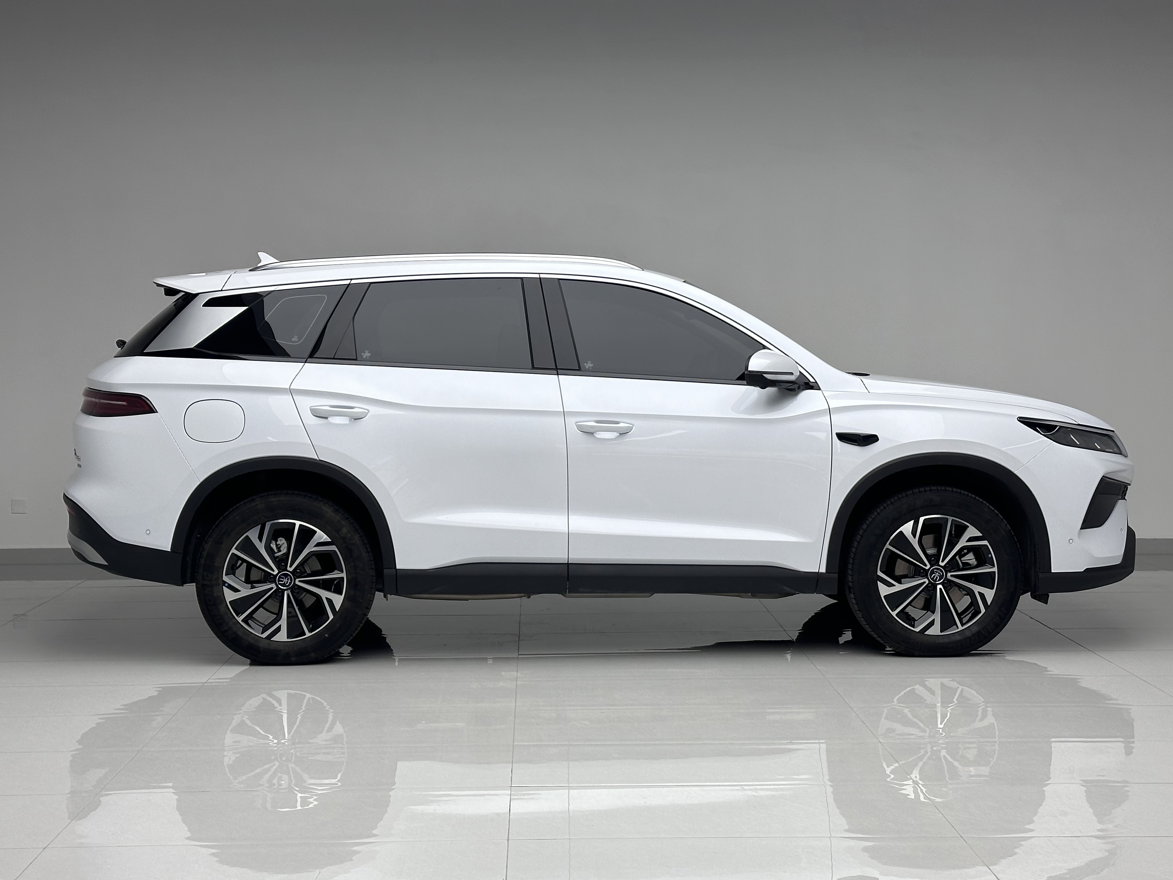 BYD Song Pro New Energy 2025 car image #6