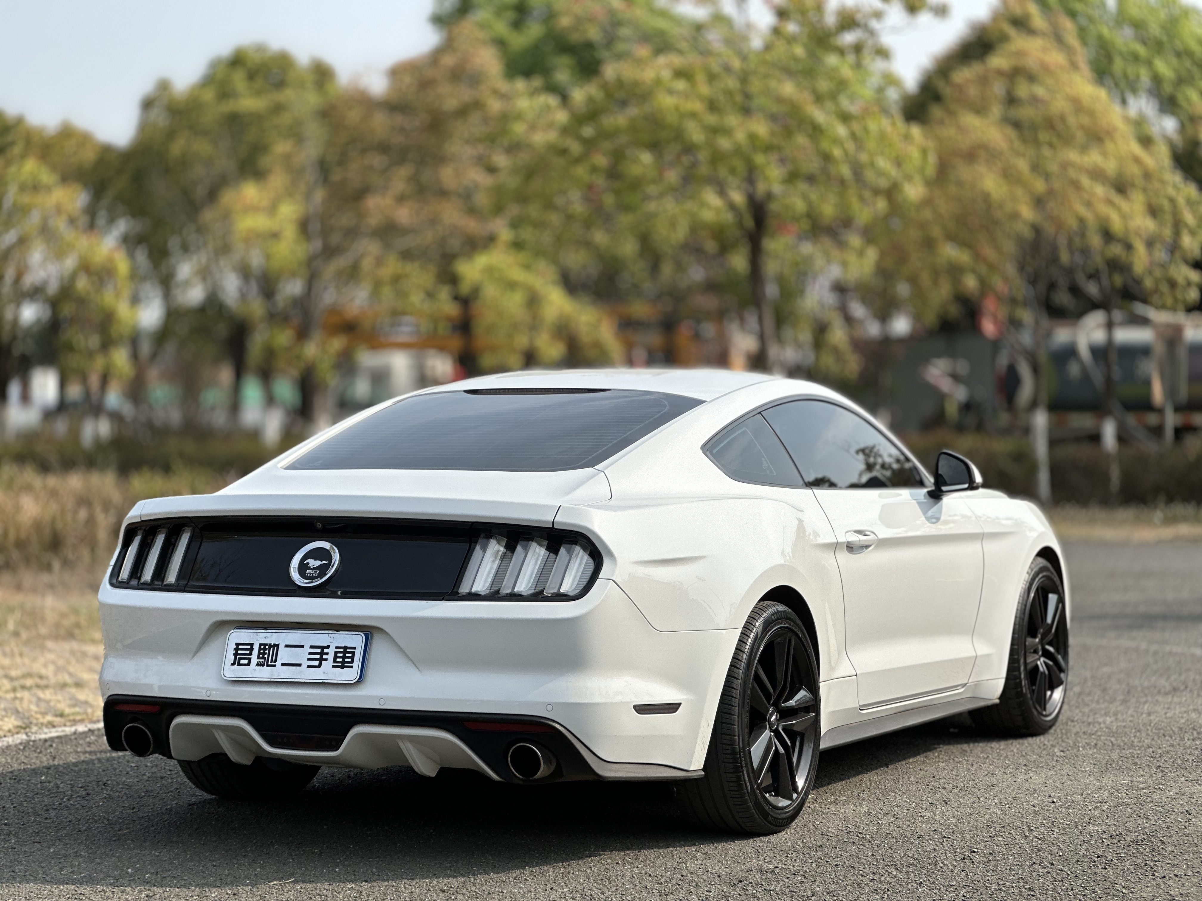 Ford Mustang 2015 car image #6